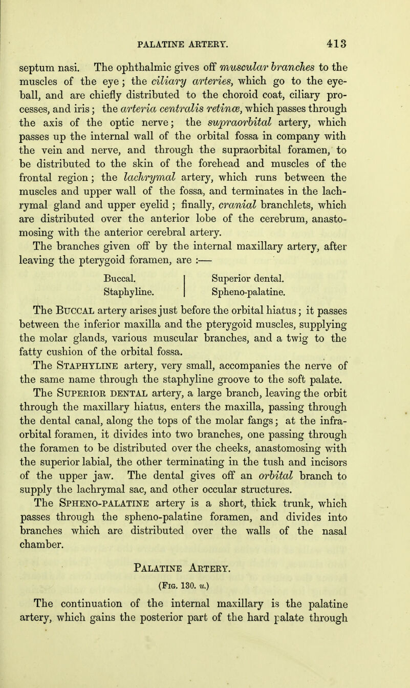 septum nasi. The ophthalmic gives off muscular branches to the muscles of the eye ; the ciliary arteries, which go to the eye- ball, and are chiefly distributed to the choroid coat, ciliary pro- cesses, and iris; the arteria centralis retinae, which passes through the axis of the optic nerve; the supraorbital artery, which passes up the internal wall of the orbital fossa in company with the vein and nerve, and through the supraorbital foramen, to be distributed to the skin of the forehead and muscles of the frontal region; the lachrymal artery, which runs between the muscles and upper wall of the fossa, and terminates in the lach- rymal gland and upper eyelid ; finally, cranial branchlets, which are distributed over the anterior lobe of the cerebrum, anasto- mosing with the anterior cerebral artery. The branches given off by the internal maxillary artery, after leaving the pterygoid foramen, are :— Buccal. Staphyline. Superior dental. Spheno-palatine. The Buccal artery arises just before the orbital hiatus; it passes between the inferior maxilla and the pterygoid muscles, supplying the molar glands, various muscular branches, and a twig to the fatty cushion of the orbital fossa. The Staphyline artery, very small, accompanies the nerve of the same name through the staphyline groove to the soft palate. The Superior dental artery, a large branch, leaving the orbit through the maxillary hiatus, enters the maxilla, passing through the dental canal, along the tops of the molar fangs; at the infra- orbital foramen, it divides into two branches, one passing through the foramen to be distributed over the cheeks, anastomosing with the superior labial, the other terminating in the tush and incisors of the upper jaw. The dental gives off an orbital branch to supply the lachrymal sac, and other occular structures. The Spheno-palatine artery is a short, thick trunk, which passes through the spheno-palatine foramen, and divides into branches which are distributed over the walls of the nasal chamber. Palatine Artery. (Fig. 130. u.) The continuation of the internal maxillary is the palatine artery, which gains the posterior part of the hard palate through