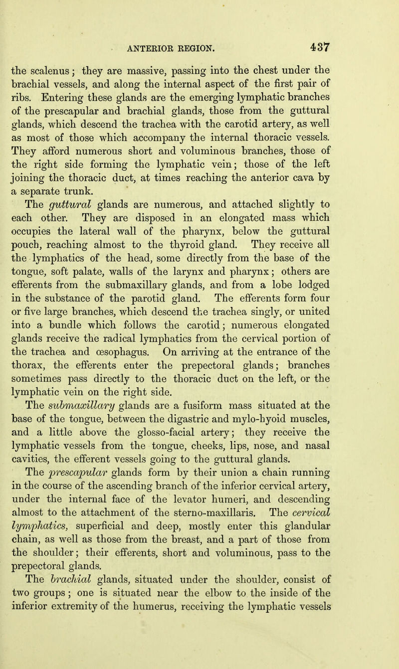 the scalenus; they are massive, passing into the chest under the brachial vessels, and along the internal aspect of the first pair of ribs. Entering these glands are the emerging lymphatic branches of the prescapular and brachial glands, those from the guttural glands, which descend the trachea with the carotid artery, as well as most of those which accompany the internal thoracic vessels. They afford numerous short and voluminous branches, those of the right side forming the lymphatic vein; those of the left joining the thoracic duct, at times reaching the anterior cava by a separate trunk. The guttural glands are numerous, and attached slightly to each other. They are disposed in an elongated mass which occupies the lateral wall of the pharynx, below the guttural pouch, reaching almost to the thyroid gland. They receive all the lymphatics of the head, some directly from the base of the tongue, soft palate, walls of the larynx and pharynx; others are efferents from the submaxillary glands, and from a lobe lodged in the substance of the parotid gland. The efferents form four or five large branches, which descend the trachea singly, or united into a bundle which follows the carotid; numerous elongated glands receive the radical lymphatics from the cervical portion of the trachea and oesophagus. On arriving at the entrance of the thorax, the efferents enter the prepectoral glands; branches sometimes pass directly to the thoracic duct on the left, or the lymphatic vein on the right side. The submaxillary glands are a fusiform mass situated at the base of the tongue, between the digastric and mylo-hyoid muscles, and a little above the glosso-facial artery; they receive the lymphatic vessels from the tongue, cheeks, lips, nose, and nasal cavities, the efferent vessels going to the guttural glands. The prescapular glands form by their union a chain running in the course of the ascending branch of the inferior cervical artery, under the internal face of the levator humeri, and descending almost to the attachment of the sterno-maxillaris. The cervical lymphatics, superficial and deep, mostly enter this glandular chain, as well as those from the breast, and a part of those from the shoulder; their efferents, short and voluminous, pass to the prepectoral glands. The hracJiial glands, situated under the shoulder, consist of two groups; one is situated near the elbow to the inside of the inferior extremity of the humerus, receiving the lymphatic vessels