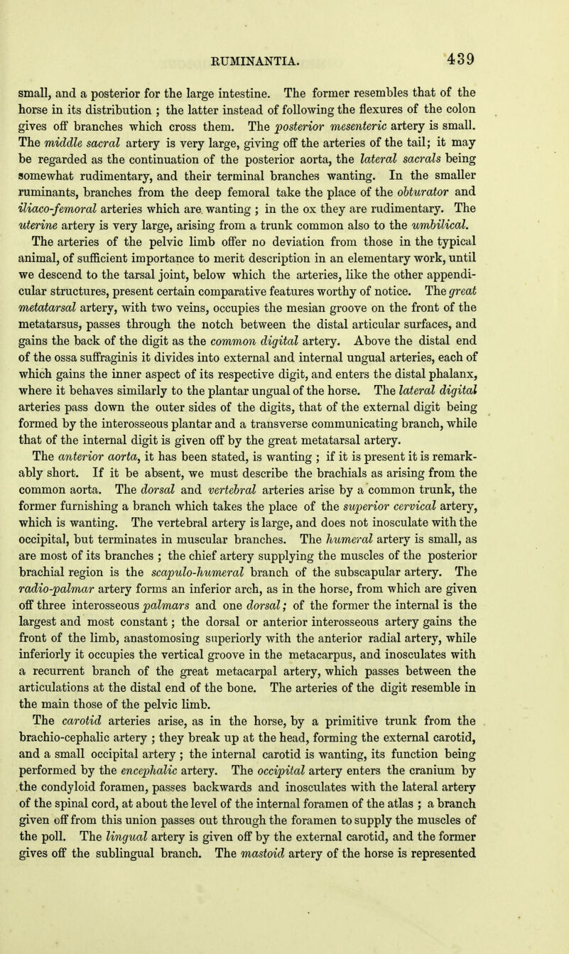small, and a posterior for the large intestine. The former resembles that of the horse in its distribution ; the latter instead of following the flexures of the colon gives off branches which cross them. The posterior mesenteric artery is small. The middle sacral artery is very large, giving off the arteries of the tail; it may be regarded as the continuation of the posterior aorta, the lateral sacrals being somewhat rudimentary, and their terminal branches wanting. In the smaller ruminants, branches from the deep femoral take the place of the obturator and iliaco-femoral arteries which are. wanting ; in the ox they are rudimentary. The uterine artery is very large, arising from a trunk common also to the umbilical. The arteries of the pelvic limb offer no deviation from those in the typical animal, of sufficient importance to merit description in an elementary work, until we descend to the tarsal joint, below which the arteries, like the other appendi- cular structures, present certain comparative features worthy of notice. The great metatarsal artery, with two veins, occupies the mesian groove on the front of the metatarsus, passes through the notch between the distal articular surfaces, and gains the back of the digit as the common digital artery. Above the distal end of the ossa suffraginis it divides into external and internal ungual arteries, each of which gains the inner aspect of its respective digit, and enters the distal phalanx, where it behaves similarly to the plantar ungual of the horse. The lateral digital arteries pass down the outer sides of the digits, that of the external digit being formed by the interosseous plantar and a transverse communicating branch, while that of the internal digit is given off by the great metatarsal artery. The anterior aorta, it has been stated, is wanting ; if it is present it is remark- ably short. If it be absent, we must describe the brachials as arising from the common aorta. The dorsal and vertebral arteries arise by a common trunk, the former furnishing a branch which takes the place of the superior cervical artery, which is wanting. The vertebral artery is large, and does not inosculate with the occipital, but terminates in muscular branches. The humeral artery is small, as are most of its branches ; the chief artery supplying the muscles of the posterior brachial region is the scapulo-humeral branch of the subscapular artery. The radio-palmar artery forms an inferior arch, as in the horse, from which are given off three interosseous palmars and one dorsal; of the former the internal is the largest and most constant; the dorsal or anterior interosseous artery gains the front of the limb, anastomosing superiorly with the anterior radial artery, while inferiorly it occupies the vertical groove in the metacarpus, and inosculates with a recurrent branch of the great metacarpal artery, which passes between the articulations at the distal end of the bone. The arteries of the digit resemble in the main those of the pelvic limb. The carotid arteries arise, as in the horse, by a primitive trunk from the . brachio-cephalic artery ; they break up at the head, forming the external carotid, and a small occipital artery ; the internal carotid is wanting, its function being performed by the encephalic artery. The occipital artery enters the cranium by the condyloid foramen, passes backwards and inosculates with the lateral artery of the spinal cord, at about the level of the internal foramen of the atlas ; a branch given off from this union passes out through the foramen to supply the muscles of the poll. The lingual artery is given off by the external carotid, and the former gives off the sublingual branch. The mastoid artery of the horse is represented