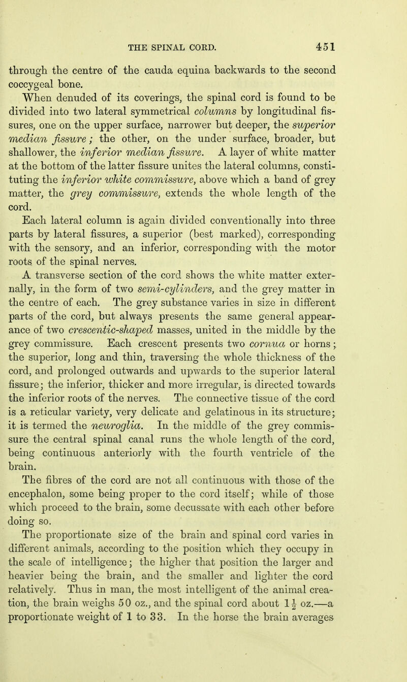 through the centre of the cauda equina backwards to the second coccygeal bone. When denuded of its coverings, the spinal cord is found to be divided into two lateral symmetrical columns by longitudinal fis- sures, one on the upper surface, narrower but deeper, the superior median fissure; the other, on the under surface, broader, but shallower, the inferior median fissure. A layer of white matter at the bottom of the latter fissure unites the lateral columns, consti- tuting the inferior white commissure, above which a band of grey matter, the grey commissure, extends the whole length of the cord. Each lateral column is again divided conventionally into three parts by lateral fissures, a superior (best marked), corresponding with the sensory, and an inferior, corresponding with the motor roots of the spinal nerves. A transverse section of the cord shows the white matter exter- nally, in the form of two semi-cylinders, and the grey matter in the centre of each. The grey substance varies in size in different parts of the cord, but always presents the same general appear- ance of two crescentic-shaped masses, united in the middle by the grey commissure. Each crescent presents two cornua or horns; the superior, long and thin, traversing the whole thickness of the cord, and prolonged outwards and upv/ards to the superior lateral fissure; the inferior, thicker and more irregular, is directed towards the inferior roots of the nerves. The connective tissue of the cord is a reticular variety, very delicate and gelatinous in its structure; it is termed the neuroglia. In the middle of the grey commis- sure the central spinal canal runs the whole length of the cord, being continuous anteriorly with the fourth ventricle of the brain. The fibres of the cord are not all continuous with those of the encephalon, some being proper to the cord itself; while of those which proceed to the brain, some decussate with each other before doing so. The proportionate size of the brain and spinal cord varies in different animals, according to the position which they occupy in the scale of intelligence; the higher that position the larger and heavier being the brain, and the smaller and lighter the cord relatively. Thus in man, the most intelligent of the animal crea- tion, the brain weighs 50 oz., and the spinal cord about 1J oz.—a proportionate weight of 1 to 33. In the horse the brain averages