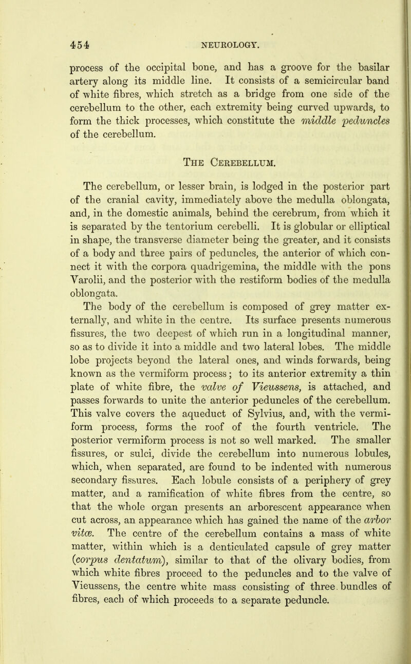 process of the occipital bone, and has a groove for the basilar artery along its middle line. It consists of a semicircular band of white fibres, which stretch as a bridge from one side of the cerebellum to the other, each extremity being curved upwards, to form the thick processes, which constitute the middle ]peduncles of the cerebellum. The Cerebellum. The cerebellum, or lesser brain, is lodged in the posterior part of the cranial cavity, immediately above the medulla oblongata, and, in the domestic animals, behind the cerebrum, from which it is separated by the tentorium cerebelli. It is globular or elliptical in shape, the transverse diameter being the greater, and it consists of a body and three pairs of peduncles, the anterior of which con- nect it wdth the corpora quadrigemina, the middle Avith the pons Varolii, and the posterior with the restiform bodies of the medulla oblongata. The body of the cerebellum is composed of grey matter ex- ternally, and white in the centre. Its surface presents numerous fissures, the two deepest of which run in a longitudinal manner, so as to divide it into a middle and two lateral lobes. The middle lobe projects beyond the lateral ones, and winds forwards, being known as the vermiform process; to its anterior extremity a thin plate of w^hite fibre, the valve of Vieussens, is attached, and passes forwards to unite the anterior peduncles of the cerebellum. This valve covers the aqueduct of Sylvius, and, with the vermi- form process, forms the roof of the fourth ventricle. The posterior vermiform process is not so well marked. The smaller fissures, or sulci, divide the cerebellum into numerous lobules, which, when separated, are found to be indented with numerous secondary fissures. Each lobule consists of a periphery of grey matter, and a ramification of white fibres from the centre, so that the whole organ presents an arborescent appearance when cut across, an appearance which has gained the name of the arbor vitce. The centre of the cerebellum contains a mass of white matter, within which is a denticulated capsule of grey matter {corpus dentatum), similar to that of the olivary bodies, from which white fibres proceed to the peduncles and to the valve of Vieussens, the centre white mass consisting of three. bundles of fibres, each of which proceeds to a separate peduncle.