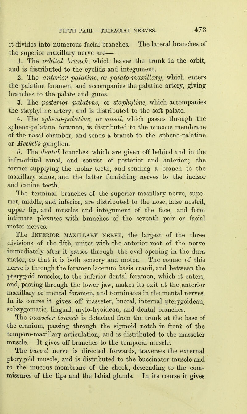 it divides into numerous facial branches. The lateral branches of the superior maxillary nerve are— 1. The orbital branch, which leaves the trunk in the orbit, and is distributed to the eyelids and integument. 2. The anterior palatine, or palato-maxillary, which enters the palatine foramen, and accompanies the palatine artery, giving branches to the palate and gums. 3. The posterior palatine, or staphyline, w^hich accompanies the staphyline artery, and is distributed to the soft palate. 4. The spheno-palatine, or nasal, which passes through the spheno-palatine foramen, is distributed to the mucous membrane of the nasal chamber, and sends a branch to the spheno-palatine or Meckel's ganglion. 5. The dental branches, which are given off behind and in the infraorbital canal, and consist of posterior and anterior; the former supplying the molar teeth, and sending a branch to the maxillary sinus, and the latter furnishing nerves to the incisor and canine teeth. The terminal branches of the superior maxillary nerve, supe- rior, middle, and inferior, are distributed to the nose, false nostril, upper lip, and muscles and integument of the face, and form intimate plexuses with branches of the seventh pair or facial motor nerves. The Inferior maxillary nerve, the largest of the three divisions of the fifth, unites with the anterior root of the nerve immediately after it passes through the oval opening in the dura mater, so that it is both sensory and motor. The course of this nerve is through the foramen lacerum basis cranii, and between the pterygoid muscles, to the inferior dental foramen, which it enters, and, passing through the lower jaw, makes its exit at the anterior maxillary or mental foramen, and terminates in the mental nerves. In its course it gives off masseter, buccal, internal pterygoidean, subzygomatic, lingual, mylo-hyoidean, and dental branches. The masseter branch is detached from the trunk at the base of the cranium, passing through the sigmoid notch in front of the temporo-maxillary articulation, and is distributed to the masseter muscle. It gives off branches to the temporal muscle. The buccal nerve is directed forwards, traverses the external pterygoid muscle, and is distributed to the buccinator muscle and to the mucous membrane of the cheek, descending to the com- missures of the lips and the labial glands. In its course it gives