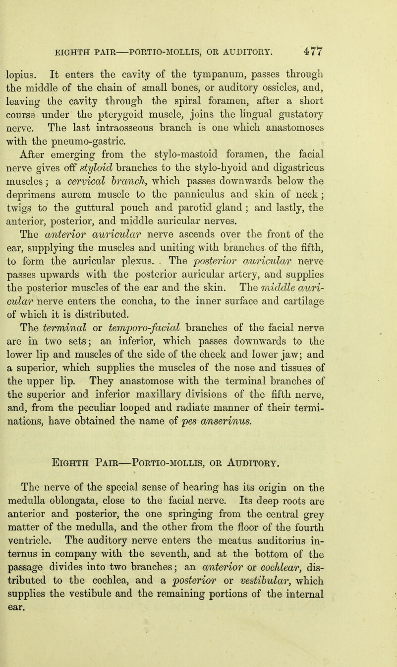 lopius. It enters the cavity of the tympanum, passes through the middle of the chain of small bones, or auditory ossicles, and, leaving the cavity through the spiral foramen, after a short course under the pterygoid muscle, joins the lingual gustatory nerve. The last intraosseous branch is one which anastomoses with the pneumo-gastric. After emerging from the stylo-mastoid foramen, the facial nerve gives off styloid branches to the stylo-hyoid and digastricus muscles; a cervical branch, which passes downwards below the deprimens aurem muscle to the panniculus and skin of neck ; twigs to the guttural pouch and parotid gland ; and lastly, the anterior, posterior, and middle auricular nerves. The anterior auricular nerve ascends over the front of the ear, supplying the muscles and uniting with branches, of the fifth, to form the auricular plexus. . The posterior auricular nerve passes upwards with the posterior auricular artery, and supplies the posterior muscles of the ear and the skin. The middle auri- cular nerve enters the concha, to the inner surface and cartilage of which it is distributed. The terminal or temporo-facial branches of the facial nerve are in two sets; an inferior, which passes downwards to the lower lip and muscles of the side of the cheek and lower jaw; and a superior, which supplies the muscles of the nose and tissues of the upper lip. They anastomose with the terminal branches of the superior and inferior maxillary divisions of the fifth nerve, and, from the peculiar looped and radiate manner of their termi- nations, have obtained the name of pes anserinus. Eighth Pair—Portio-mollis, or Auditory. The nerve of the special sense of hearing has its origin on the medulla oblongata, close to the facial nerve. Its deep roots are anterior and posterior, the one springing from the central grey matter of the medulla, and the other from the floor of the fourth ventricle. The auditory nerve enters the meatus auditorius in- ternus in company with the seventh, and at the bottom of the passage divides into two branches; an anterior or cochlear, dis- tributed to the cochlea, and a posterior or vestibular, which supplies the vestibule and the remaining portions of the internal ear.