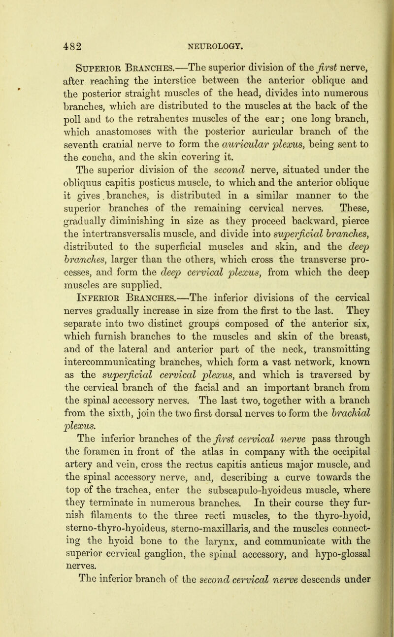 Superior Branches.—The superior division of the first nerve, after reaching the interstice between the anterior oblique and the posterior straight muscles of the head, divides into numerous branches, which are distributed to the muscles at the back of the poll and to the retrahentes muscles of the ear; one long branch, which anastomoses with the posterior auricular branch of the seventh cranial nerve to form the auricular 'plexus, being sent to the concha, and the skin covering it. The superior division of the second nerve, situated under the obliquus capitis posticus muscle, to which and the anterior oblique it gives. branches, is distributed in a similar manner to the superior branches of the remaining cervical nerves. These, gradually diminishing in size as they proceed backward, pierce the intertransversalis muscle, and divide into superficial branches, distributed to the superficial muscles and skin, and the deep branches, larger than the others, which cross the transverse pro- cesses, and form the deep cervical plexus, from which the deep muscles are supplied. Inferior Branches.—The inferior divisions of the cervical nerves gradually increase in size from the first to the last. They separate into two distinct groups composed of the anterior six, which furnish branches to the muscles and skin of the breast, and of the lateral and anterior part of the neck, transmitting intercommunicating branches, which form a vast network, known as the superficial cervical plexus, and which is traversed by the cervical branch of the facial and an important branch from the spinal accessory nerves. The last two, together with a branch from the sixth, join the two first dorsal nerves to form the brachial plexus. The inferior branches of the first cervical nerve pass through the foramen in front of the atlas in company with the occipital artery and vein, cross the rectus capitis anticus major muscle, and the spinal accessory nerve, and, describing a curve towards the top of the trachea, enter the subscapulo-hyoideus muscle, where they terminate in numerous branches. In their course they fur- nish filaments to the three recti muscles, to the thyro-hyoid, sterno-thyro-hyoideus, sterno-maxillaris, and the muscles connect- ing the hyoid bone to the larynx, and communicate with the superior cervical ganglion, the spinal accessory, and hypo-glossal nerves. The inferior branch of the second cervical nerve descends under