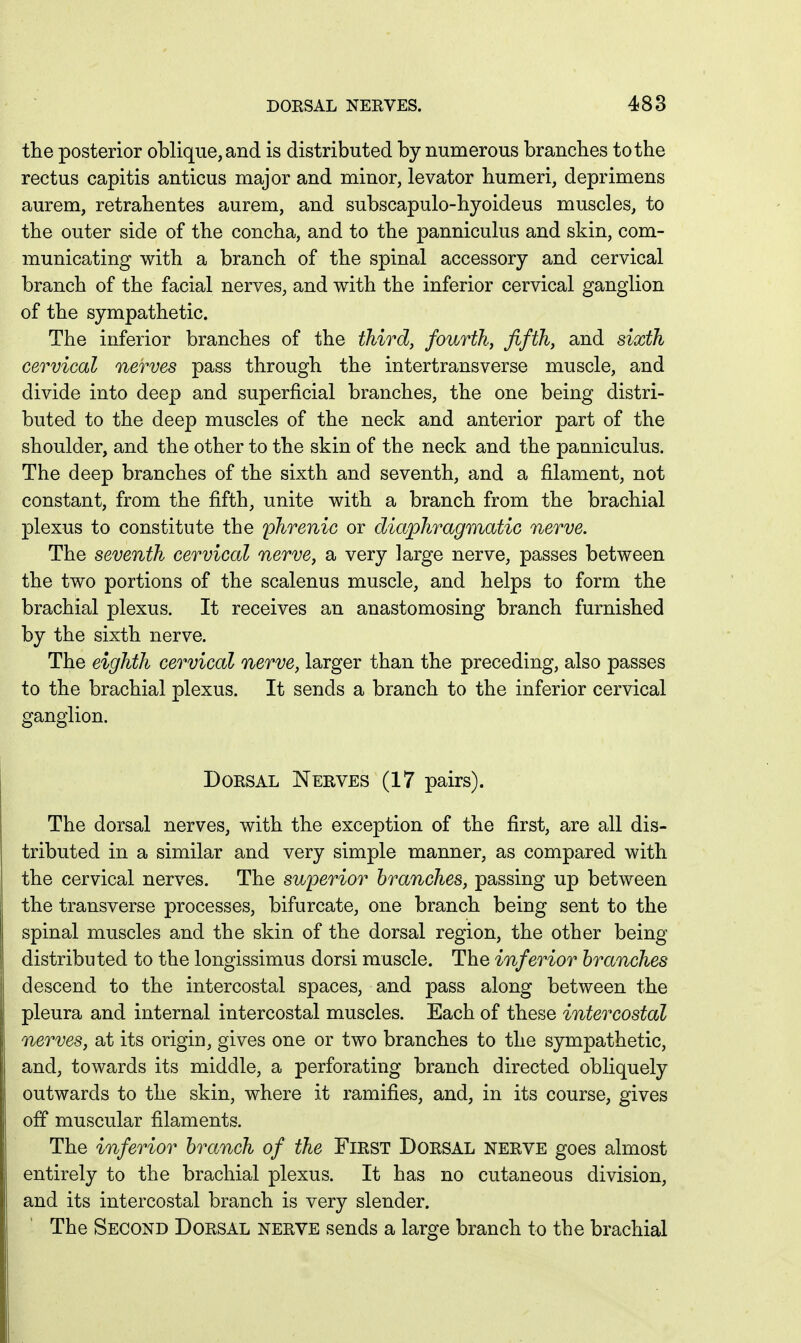 the posterior oblique, and is distributed by numerous branches to the rectus capitis anticus major and minor, levator humeri, deprimens aurem, retrahentes aurem, and subscapulo-hyoideus muscles, to the outer side of the concha, and to the panniculus and skin, com- municating with a branch of the spinal accessory and cervical branch of the facial nerves, and with the inferior cervical ganglion of the sympathetic. The inferior branches of the third, fourth, fifth, and sixth cervical nerves pass through the intertransverse muscle, and divide into deep and superficial branches, the one being distri- buted to the deep muscles of the neck and anterior part of the shoulder, and the other to the skin of the neck and the panniculus. The deep branches of the sixth and seventh, and a filament, not constant, from the fifth, unite with a branch from the brachial plexus to constitute the phrenic or diaphragmatic nerve. The seventh cervical nerve, a very large nerve, passes between the two portions of the scalenus muscle, and helps to form the brachial plexus. It receives an anastomosing branch furnished by the sixth nerve. The eighth cervical nerve, larger than the preceding, also passes to the brachial plexus. It sends a branch to the inferior cervical ganglion. DoESAL Neeves (17 pairs). The dorsal nerves, with the exception of the first, are all dis- tributed in a similar and very simple manner, as compared with the cervical nerves. The superior branches, passing up between the transverse processes, bifurcate, one branch being sent to the spinal muscles and the skin of the dorsal region, the other being distributed to the longissimus dorsi muscle. The inferior branches descend to the intercostal spaces, and pass along between the pleura and internal intercostal muscles. Each of these intercostal nerves, at its origin, gives one or two branches to the sympathetic, and, towards its middle, a perforating branch directed obliquely outwards to the skin, where it ramifies, and, in its course, gives off muscular filaments. The inferior branch of the FiEST Doesal neeve goes almost entirely to the brachial plexus. It has no cutaneous division, and its intercostal branch is very slender. The Second Doesal neeve sends a large branch to the brachial