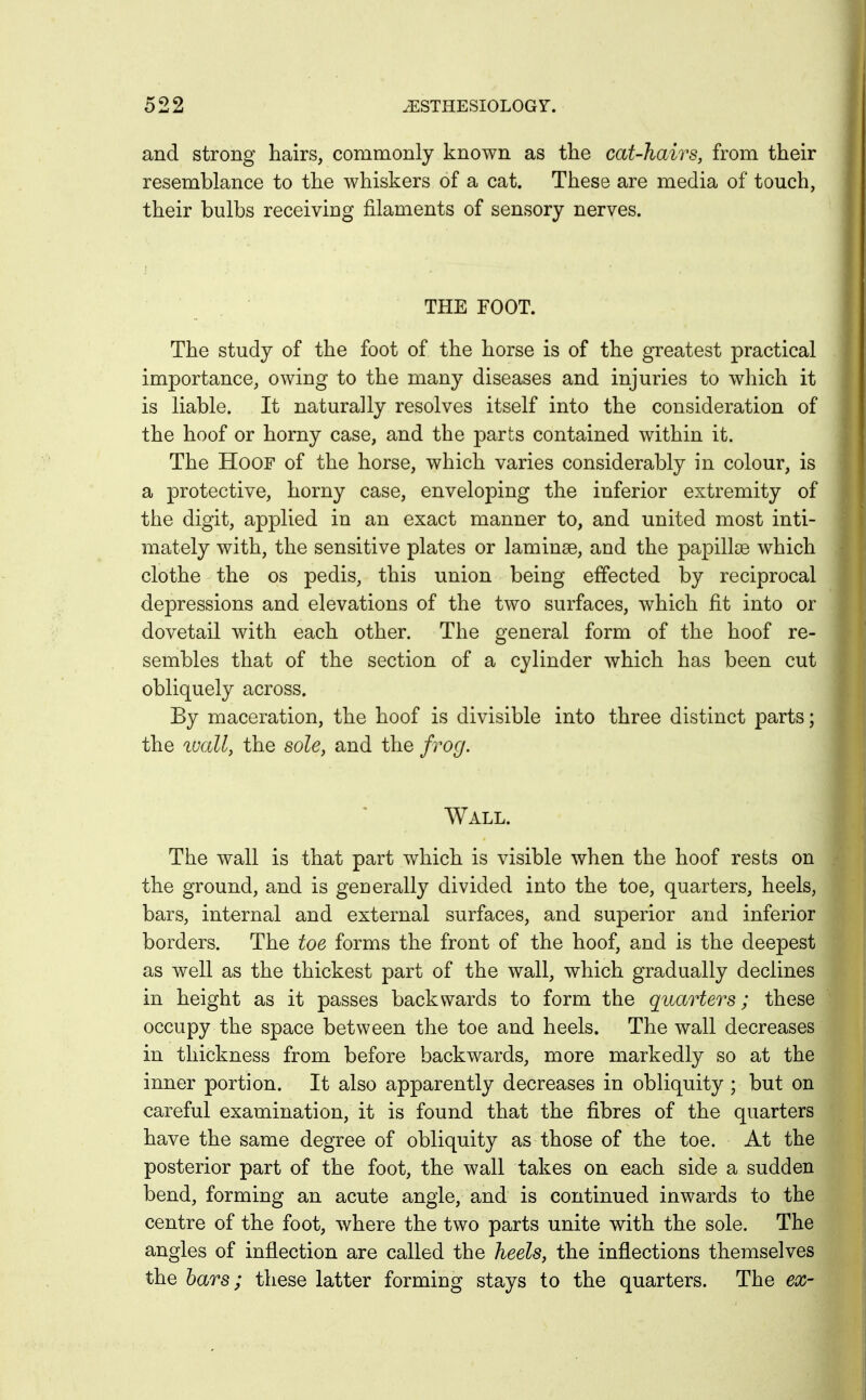 and strong hairs, commonly known as the cat-hairs, from their resemblance to the whiskers of a cat. These are media of touch, their bulbs receiving filaments of sensory nerves. THE FOOT. The study of the foot of the horse is of the greatest practical importance, owing to the many diseases and injuries to which it is liable. It naturally resolves itself into the consideration of the hoof or horny case, and the parts contained within it. The Hoof of the horse, which varies considerably in colour, is a protective, horny case, enveloping the inferior extremity of the digit, applied in an exact manner to, and united most inti- mately with, the sensitive plates or laminae, and the papillae which clothe the os pedis, this union being effected by reciprocal depressions and elevations of the two surfaces, which lit into or dovetail with each other. The general form of the hoof re- sembles that of the section of a cylinder which has been cut obliquely across. By maceration, the hoof is divisible into three distinct parts; the luall, the sole, and the frog. Wall. The wall is that part which is visible when the hoof rests on the ground, and is generally divided into the toe, quarters, heels, bars, internal and external surfaces, and superior and inferior borders. The toe forms the front of the hoof, and is the deepest as well as the thickest part of the wall, which gradually declines in height as it passes backwards to form the quarters; these occupy the space between the toe and heels. The wall decreases in thickness from before backwards, more markedly so at the inner portion. It also apparently decreases in obliquity ; but on careful examination, it is found that the fibres of the quarters have the same degree of obliquity as those of the toe. At the posterior part of the foot, the wall takes on each side a sudden bend, forming an acute angle, and is continued inwards to the centre of the foot, where the two parts unite with the sole. The angles of inflection are called the heels, the inflections themselves the bars; these latter forming stays to the quarters. The ex-