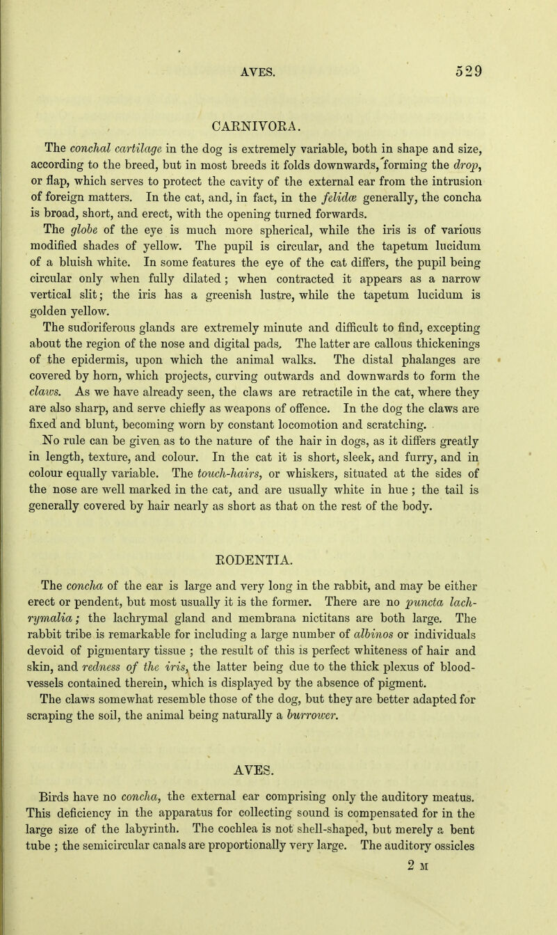 CAENIYOKA. The conchal cartilage in the dog is extremely variable, both in shape and size, according to the breed, but in most breeds it folds downwards, forming the drop, or flap, which serves to protect the cavity of the external ear from the intrusion of foreign matters. In the cat, and, in fact, in the felidce generally, the concha is broad, short, and erect, with the opening turned forwards. The glohe of the eye is much more spherical, while the iris is of various modified shades of yellow. The pupil is circular, and the tapetum lucidum of a bluish white. In some features the eye of the cat differs, the pupil being circular only when fully dilated ; when contracted it appears as a narrow vertical slit; the iris has a greenish lustre, while the tapetum lucidum is golden yellow. The sudoriferous glands are extremely minute and difficult to find, excepting about the region of the nose and digital pads. The latter are callous thickenings of the epidermis, upon which the animal walks. The distal phalanges are covered by horn, which projects, curving outwards and downwards to form the claivs. As we have already seen, the claws are retractile in the cat, where they are also sharp, and serve chiefly as weapons of offence. In the dog the claws are fixed and blunt, becoming worn by constant locomotion and scratching. - No rule can be given as to the nature of the hair in dogs, as it difi'ers greatly in length, texture, and colour. In the cat it is short, sleek, and furry, and in colour equally variable. The touch-hairs, or whiskers, situated at the sides of the nose are well marked in the cat, and are usually white in hue ; the tail is generally covered by hair nearly as short as that on the rest of the body. EODENTIA. The concha of the ear is large and very long in the rabbit, and may be either erect or pendent, but most usually it is the former. There are no puncta lach- rymalia; the lachrymal gland and membrana nictitans are both large. The rabbit tribe is remarkable for including a large number of albinos or individuals devoid of pigmentary tissue ; the result of this is perfect whiteness of hair and skin, and redness of the iris, the latter being due to the thick plexus of blood- vessels contained therein, which is displayed by the absence of pigment. The claws somewhat resemble those of the dog, but they are better adapted for scraping the soil, the animal being naturally a burrower. AVES. Birds have no concha, the external ear comprising only the auditory meatus. This deficiency in the apparatus for collecting sound is compensated for in the large size of the labyrinth. The cochlea is not shell-shaped, but merely a bent tube ; the semicircular canals are proportionally very large. The auditory ossicles 2 M