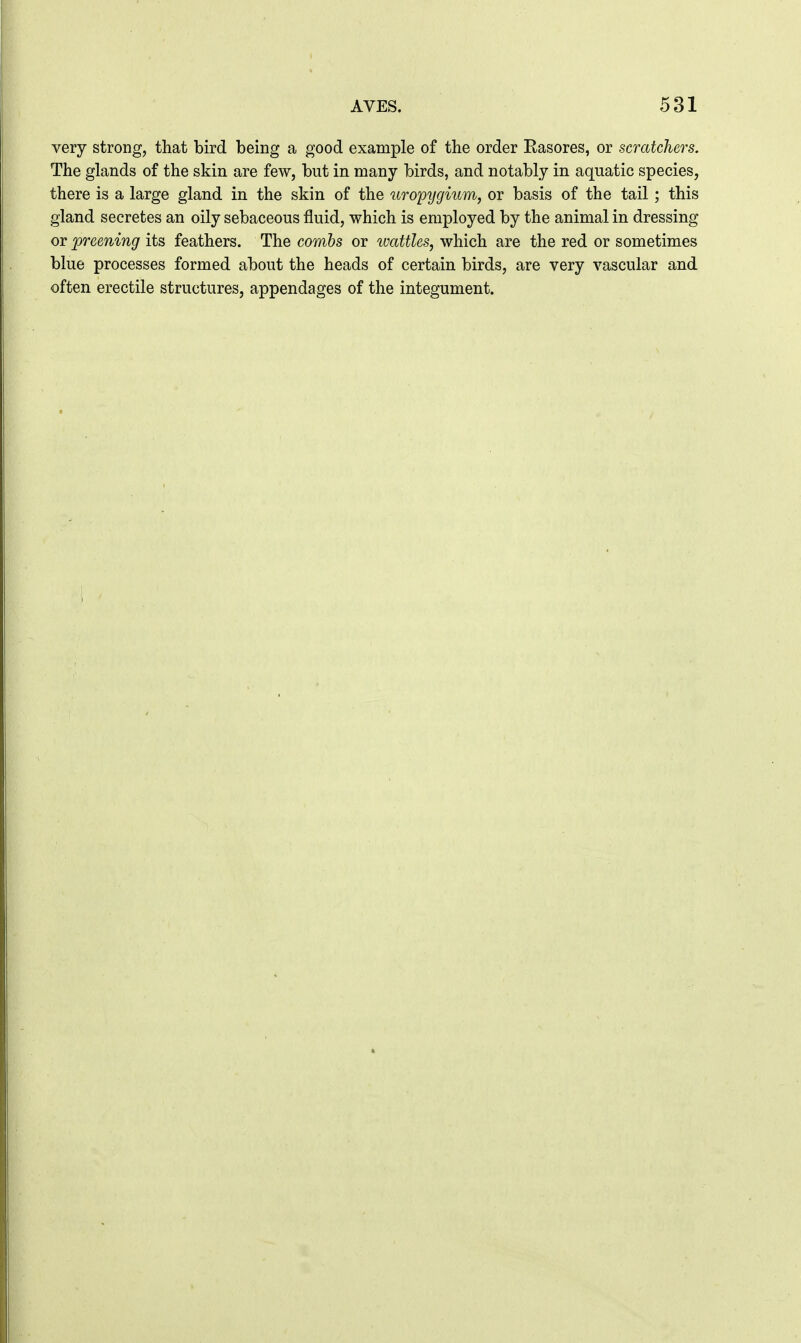 very strong, that bird being a good example of the order Easores, or scratchers. The glands of the skin are few, but in many birds, and notably in aquatic species, there is a large gland in the skin of the uropygium, or basis of the tail; this gland secretes an oily sebaceous fluid, which is employed by the animal in dressing or preening its feathers. The combs or luattles, which are the red or sometimes blue processes formed about the heads of certain birds, are very vascular and often erectile structures, appendages of the integument.