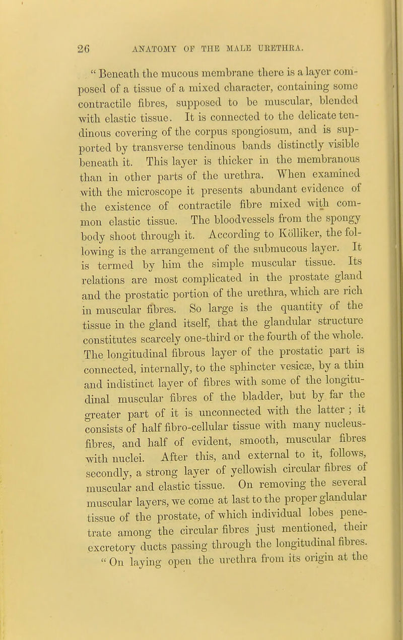  Beneath tlie mucous membrane there is a layer com- posed of a tissue of a mixed character, containing some contractile fibres, supposed to be muscular, blended with elastic tissue. It is connected to the delicate ten- dinous covering of the corpus spongiosum, and is sup- ported by transverse tendinous bands distinctly visible beneath it. This layer is thicker in the membranous than in other parts of the urethra. When examined with the microscope it presents abundant evidence of the existence of contractile fibre mixed with com- mon elastic tissue. The bloodvessels from the spongy body shoot through it. According to Kolliker, the fol- lowing is the arrangement of the submucous layer. It is termed by him the simple muscular tissue. Its relations are most complicated in the prostate gland and the prostatic portion of the urethra, which are rich in muscular fibres. So large is the quantity of the tissue in the gland itself, that the glandular structure constitutes scarcely one-third or the fourth of the whole. The longitudinal fibrous layer of the prostatic part is connected, internally, to the sphincter vesicse, by a thin and indistinct layer of fibres with some of the longitu- dinal muscular fibres of the bladder, but by far the greater part of it is unconnected with the latter ; it consists of half fibro-cellular tissue with many nucleus- fibres, and half of evident, smooth, muscular fibres with nuclei. After this, and external to it, foUows, secondly, a strong layer of yellowish ckcular fibres of muscular and elastic tissue. On removing the several muscular layers, we come at last to the proper glandular tissue of the prostate, of which individual lobes pene- trate among the circular fibres just mentioned, their excretory ducts passing through the longitudinal fibres.  On laying open the urethra from its origin at the