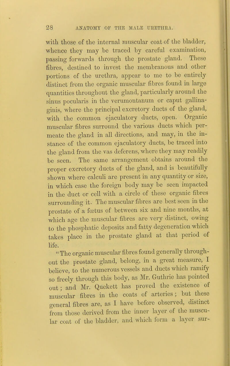 with those of the internal muscular coat of the hladder, whence they may be traced by careful examination, passing forwards through the prostate gland. These fibres, destined to invest the membranous and other portions of the urethra, appear to me to be entirely distinct from the organic muscular fibres found in large quantities throughout the gland, particularly around the sinus pocularis in the verumontanum or caput gallina- ginis, where the principal excretory ducts of the gland, with the common ejaculatory ducts, open. Organic muscular fibres surround the various ducts which per- meate the gland in all directions, and may, in the in- stance of the common ejaculatory ducts, be traced into the gland from the vas deferens, where they may readily be seen. The same arrangement obtains around the proper excretory ducts of the gland, and is beautifully shown where calculi are present in any quantity or size, in which case the foreign body may be seen impacted in the duct or cell with a circle of these organic fibres surrounding it. The muscular fibres are best seen in the prostate of a foetus of between six and nine months, at which age the muscular fibres are very distinct, owing to the phosphatic deposits and fatty degeneration which takes place in the prostate gland at that period of life.  The organic muscular fibres found generally through- out the prostate gland, belong, in a great measure, I beheve, to the numerous vessels and ducts which ramify so freely through this body, as Mr. Guthrie has pointed out; and Mr. Quekett has proved the existence of muscular fibres in the coats of arteries; but these general fibres are, as I have before observed, distinct from those derived from the inner layer of the muscu- lar coat of the bladder, and which form a layer sur-