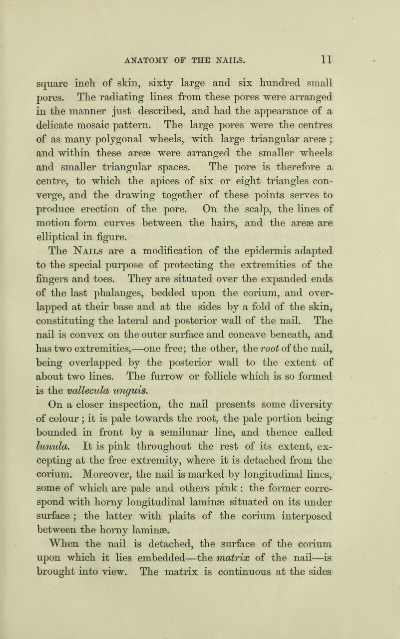 square inch of skin, sixty large and six hundred small pores. The radiating lines from these pores were arranged in the manner just described, and had the appearance of a delicate mosaic pattern. The large pores were the centres of as many polygonal wheels, with large triangular arese; and within these arese were arranged the smaller wheels and smaller triangular spaces. The pore is therefore a centre, to which the apices of six or eight triangles con¬ verge, and the drawing together of these points serves to produce erection of the pore. On the scalp, the lines of motion form curves between the hairs, and the arese are elliptical in figure. The Nails are a modification of the epidermis adapted to the special purpose of protecting the extremities of the fingers and toes. They are situated over the expanded ends of the last phalanges, bedded upon the corium, and over¬ lapped at their base and at the sides by a fold of the skin, Constituting the lateral and posterior wall of the nail. The nail is convex on the outer surface and concave beneath, and has two extremities,—one free; the other, the root of the nail, being overlapped by the posterior wall to the extent of about two lines. The furrow or follicle which is so formed is the vallecula unguis. On a closer inspection, the nail presents some diversity of colour; it is pale towards the root, the pale portion being bounded in front by a semilunar line, and thence called lunula. It is pink throughout the rest of its extent, ex¬ cepting at the free extremity, where it is detached from the corium. Moreover, the nail is marked by longitudinal lines, some of which are pale and others pink: the former corre¬ spond with horny longitudinal laminae situated on its under surface; the latter with plaits of the corium interposed between the horny laminae. When the nail is detached, the surface of the corium upon which it lies embedded—the matrix of the nail—is brought into view. The matrix is continuous at the sides