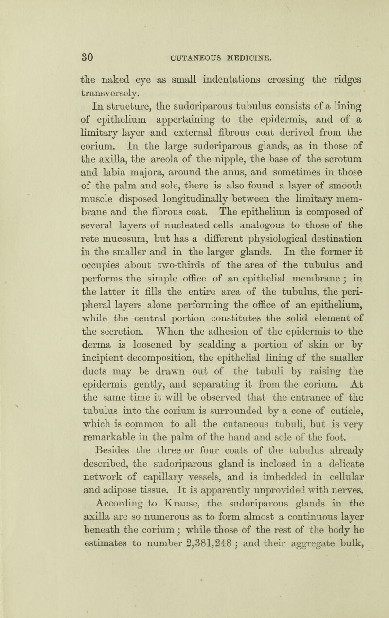 the naked eye as small indentations crossing the ridges transversely. In structure, the sudoriparous tubulus consists of a lining of epithelium appertaining to the epidermis, and of a limitary layer and external fibrous coat derived from the corium. In the large sudoriparous glands, as in those of the axilla, the areola of the nipple, the base of the scrotum and labia majora, around the anus, and sometimes in those of the palm and sole, there is also found a layer of smooth muscle disposed longitudinally between the limitary mem¬ brane and the fibrous coat. The epithelium is composed of several layers of nucleated cells analogous to those of the rete mucosum, but has a different physiological destination in the smaller and in the larger glands. In the former it occupies about two-thirds of the area of the tubulus and performs the simple office of an epithelial membrane ; in the latter it fills the entire area of the tubulus, the peri¬ pheral layers alone performing the office of an epithelium, while the central portion constitutes the solid element of the secretion. When the adhesion of the epidermis to the derma is loosened by scalding a portion of skin or by incipient decomposition, the epithelial lining of the smaller ducts may be drawn out of the tubuli by raising the epidermis gently, and separating it from the corium. At the same time it will be observed that the entrance of the tubulus into the corium is surrounded by a cone of cuticle, which is common to all the cutaneous tubuli, but is very remarkable in the palm of the hand and sole of the foot. Besides the three or four coats of the tubulus already described, the sudoriparous gland is inclosed in a delicate network of capillary vessels, and is imbedded in cellular and adipose tissue. It is apparently unprovided with nerves. According to Krause, the sudoriparous glands in the axilla are so numerous as to form almost a continuous layer beneath the corium; while those of the rest of the body he estimates to number 2,381,248 ; and their aggregate bulk,