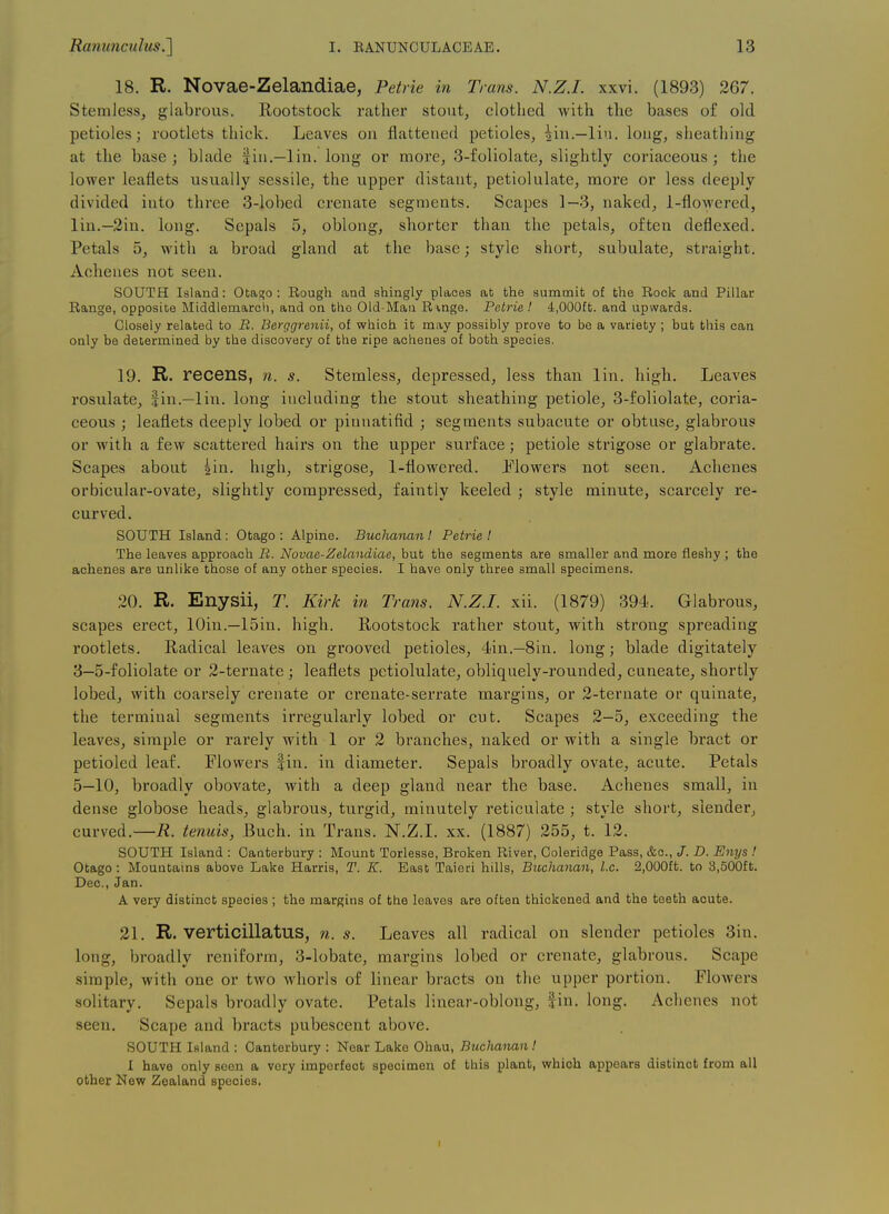 18. R. Novae-Zelandiae, Petrie in Trans. N.Z.I, xxvi. (1898) 267. Stemless, glabrous. Rootstock rather stout, clothed with the bases of old petioles; rootlets thick. Leaves on flattened petioles, Mn.—liu. long, sheathing at the base; blade jiii.—lin. long or more, 3-folioiate, slightly coriaceous; the lower leaflets usually sessile, the upper distant, petiolulate, more or less deeply divided into three 3-lobed crenate segments. Scapes 1-3, naked, 1-flowered, lin.—3in. long. Sepals 5, oblong, shorter than the petals, often deflexed. Petals 5, with a broad gland at the base; style short, subulate, straight. Acheues not seen. SOUTH Island: Otago : Rough and shingly places at the summit of the Rock and Pillar Range, opposite Middlemarcli, and on the Old-Man Ri,nge. Petrie I 4,000ft. and upwards. Closely related to B. Berggrenii, of which it may possibly prove to be a variety ; but this can only be determined by the discovery of the ripe achenes of both species. 19. R. recens, n. s. Stemless, depressed, less than lin. high. Leaves rosulate, |in.—lin. long including the stout sheathing petiole, 3-foliolate, coria- ceous ; leaflets deeply lobed or pinnatifid ; segments subacute or obtuse, glabrous or with a few scattered hairs on the upper surface ; petiole strigose or glabrate. Scapes about gin. high, strigose, 1-flowered. Plowers not seen. Achenes orbicular-ovate, slightly compressed, faintly keeled ; style minute, scarcely re- curved. SOUTH Island: Otago : Alpine. Bucltanan! Petrie I The leaves approach B. Novae-Zelandiae, but the segments are smaller and more fleshy ; the achenes are unlike those of any other species. I have only three small specimens. 30. R. Enysii, T. Kirk in Trans. N.Z.I, xii. (1879) 394. Glabrous, scapes erect, lOin.—15in. high. Rootstock rather stout, with strong spreading rootlets. Radical leaves on grooved petioles, 4in.—Sin. long; blade digitately 3—5-foliolate or 2-ternate ; leaflets petiolulate, obliquely-rounded, cuneate, shortly lobed, with coarsely crenate or crenate-serrate margins, or 2-ternate or quinate, the terminal segments irregularly lobed or cut. Scapes 2-5, exceeding the leaves, simple or rarely with 1 or 2 branches, naked or with a single bract or petioled leaf. Flowers fin. in diameter. Sepals broadly ovate, acute. Petals 5—10, broadly obovate, with a deep gland near the base. Achenes small, in dense globose heads, glabrous, turgid, minutely reticulate ; style short, slender, curved.—tenuis, Buch. in Trans. N.Z.I, xx. (1887) 255, t. 12. SOUTH Island : Canterbury : Mount Torlesse, Broken River, Coleridge Pass, &o., J. D. Enys ! Otago: Mountains above Lake Harris, T. K. East Taieri hills, Bicchattan, I.e. 2,000ft. to 3,500ft. Dec, Jan. A very distinct species ; the margins of the leaves are often thickened and the teeth acute. 21. R. verticillatus, n. s. Leaves all radical on slender petioles 3in. long, bi'oadly reniform, 3-lobate, margins lobed or crenate, glabrous. Scape simple, with one or two whorls of linear bracts on the upper portion. Flowers solitary. Sepals broadly ovate. Petals linear-oblong, fin. long. Achenes not seen. Scape and bracts pubescent above. SOUTH Island : Canterbury : Near Lake Ohau, Buchanan! I have only seen a very imperfect specimen of this plant, wrhioh appears distinct from all other New Zealand species. I