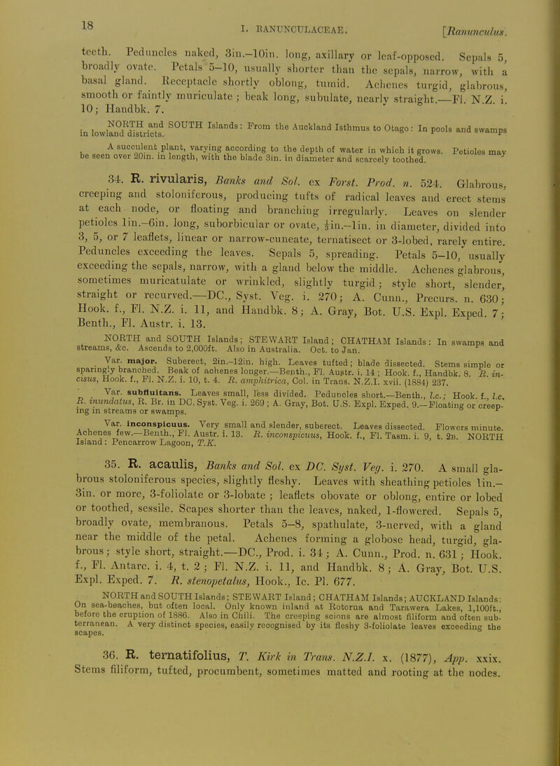 teeth. Peduncles naked, 3in.-10in. long, axillary or leaf-opposed. Sepals 5, broadly ovate. Petals 5-10, nsually shorter than the sepals, narrow, \vith a basal gland. Receptacle shortly oblong, tumid. Aclienes turgid, glabrous, smooth or faintly muriculate ; beak long, subulate, nearly straight —Fl N Z i' 10; Handbk. 7. ^ & in lowlS™riS. ■ ^'^ Auckland Isthmus to Otago: In pools and swamps A succulent plant, varying according to the depth of veater in which it grows. Petioles mav be seen over 20m. m length, with the blade 3in. in diameter and scarcely toothed. 34. R. rivularis, Banks and Sol. ex Forst. Prod. n. 524. Glabrous, creeping and stoloniferous, producing tufts of radical leaves and erect stems at each node, or floating and branching irregulai'ly. Leaves on slender petioles lin.-6in. long, suborbicular or ovate, iin.-lin. in diameter, divided into 3, 5, or 7 leaflets, linear or narrow-cuneate, ternatisect or 3-lobed, rarely entire. Peduncles exceeding the leaves. Sepals 5, spreading. Petals 5-10, usually exceeding the sepals, narrow, with a gland below the middle. Achenes glabrous, sometimes muricatulate or wrinkled, slightly turgid; style short, slender^ straight or recurved.—DC, Syst. Veg. i. 270; A. Cunn., Precurs. n. 630; Hook, f., Fl. N.Z. i. 11, and Handbk. 8; A. Gray, Bot. U.S. Expl. Exped. 7- Benth., Fl. Austr. i. 13. NORTH and SOUTH Islands; STEWART Island; CHATHAM Islands: In swamps and streams, &c. Ascends to 2,000ft. Also in Australia. Oct. to Jan. Var major. Suberect, 2in.-12in. high. Leaves tufted; blade dissected. Stems simple or 8parmg.y branched. Beak of achenes longer.—Bepth., M. Auptr. i. 14 ; Hook, f., Handbk. 8 B in- cisus, Hook, f., Fl. N.Z. i. 10, t. 4. B. amphitrica, Col. in Trans. N.Z.I, xvii. (1884) 237. _ _ Var. subfluitans. Leaves small, less divided. Peduncles short.—Benth., l.c • Hook f Ic B. immdatits, R. Br. in DC. Syst. Veg. i. 269 ; A. Gray, Bot. U.S. Expl. Exped. 9.-Floating or creep- ing m streams or swamps. A ^. inconspicuus. Very small and slender, suberect. Leaves dissected. Flowers minute Achenes few.—Benth., Fl. Austr. i. 13. B. inconspicuus, Hook, f., Fl. Tasm. i. 9, t. 2b. NORTH Island : Pencarrow Lagoon, T.K. 35. R. acaulis, Banks and Sol. ex DC. Syst. Veg. i. 270. A small gla- brous stoloniferous species, slightly fleshy. Leaves with sheathing petioles lin.- 3in. or more, 3-foliolate or 3-lobate ; leaflets obovate or oblong, entire or lobed or toothed, sessile. Scapes shorter than the leaves, naked, 1-flowered. Sepals 5, broadly ovate, membranous. Petals 5-8, spathulate, 3-nerved, with a gland near the middle of the petal. Achenes forming a globose head, turgid, gla- brous; style short, straight.—DC, Prod. i. 34; A. Cunn., Prod. n. 631 ; Hook, f., Fl. Antarc. i. 4, t. 2 ; Fl. N.Z. i. 11, and Handbk. 8; A. Gray, Bot. U.S. Expl. Exped. 7. R. stenopetalus, Hook., Ic. PI. 677. NORTH and SOUTH Islands; STEWART Island; CHATHAM Islands; AUCKLAND Islands: On sea-beaches, but often local. Only known inland at Rotcrua and Tarawera Lakes, 1,100ft., before the eruption of 188G. Also in Chili. The creeping scions are almost filiform and often sub- terranean. A very distinct species, easily recognised by its fleshy 3-foliolate leaves exceeding the scapes. 36. R. tematifolius, T. Kirk in Trans. N.Z.I, x. (1877), App. xxix. Stems filiform, tufted, procumbent, sometimes matted and rooting at the nodes.