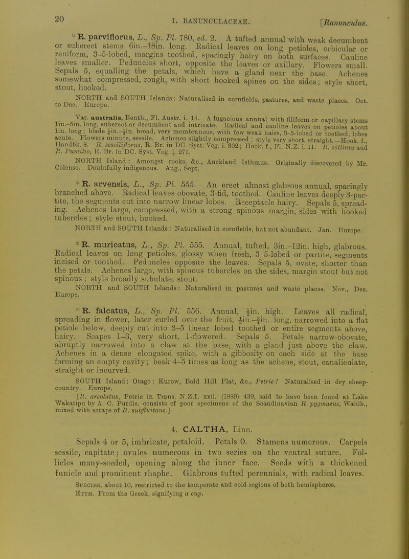 ='= R. parviflorus, L., Sp. PL 780, ed. 2. A tuffced anuual with weak decumbent or suberect stems 6in.-18m. long. Eadical leaves on long petioles, orbicular or reniform, 3-5-lobed, margins toothed, sparingly hairy on both surfaces. CauUne leaves smaller. Peduncles short, opposite the leaves or axiUary. Flowers small Sepals 5, equalling the petals, which have a gland near the base. Achenes somewhat compressed, rough, with short hooked spines on the sides; style short stout, hooked. ' NORTH and SOUTH Islands: Naturalised in cornfields, pastures, and waste places Oct to Dee. Europe. Var. australis, Benth., PI. Austr. i. 14. A fugacious annual with filiform or capillary stems lm.-5m. long, suberect or decumbent and intricate. Radical and cauline leaves on petioles about Im. long; blade Jin.-Jin. broad, very membranous, with few weak hairs, 3-5-lobed or toothed lobes acute. Flowers mmute, sessile. Achenes slightly compressed ; style very short straight—Hook f Handbk 8. R. sessilifl,orus, R. Br. in DO. Syst. Veg. i. 302; Hook, f., PI. N.Z. i. 11. R. collinus and R. Puimho, R. Br. m DC. Syst. Veg. i. 271. NORTH Island : Amongst rocks, &c., Auckland Isthmus. Originally discovered by Mr Colenso. Doubtfully indigenous. Aug., Sept. * R. arvensis, L., Sp. PI. 555. An erect almost glabrous annual, sparingly branched above. Eadical leaves obovate, 3-fid, toothed. Cauhne leaves deeply 3-par- tite, the segments cut into narrow linear lobes. Receptacle hairy. Sepals 5, spread- ing. Achenes large, compressed, with a strong spinous margin, sides with hooked tubercles ; style stout, hooked. NORTH and SOUTH Islands : Naturalised in cornfields, but not abundant. Jan. Europe. *R. muricatus, L., Sp. PI. 555. Annual, tufted, 3in.-12in. high, glabrous. Eadical leaves on long petioles, glossy when fresh, 3-5-lobed or partite, segments incised or toothed. Peduncles opposite the leaves. Sepals 5, ovate, shorter than the petals. Achenes large, with spinous tubercles on the sides, margin stout but not spinous ; style broadly subulate, stout. NORTH and SOUTH Islands: Naturalised in pastures and waste places. Nov., Dec. Europe. * R. falcatus, L., Sp. PL 556. Annual, ^in. high. Leaves all radical, spreading in flower, later curled over the fruit, |-in.-fiu. long, narrowed into a flat petiole below, deeply cut into 3-5 linear lobed toothed or entire segments above, hairy. Scapes 1-3, very short, 1-flowered. Sepals 5. Petals narrow-obovate, abruptly narrowed into a claw at the base, with a gland just above the claw. Achenes in a dense elongated spike, with a gibbosity on each side at the base forming an empty cavity; beak 4-5 times as long as the achene, stout, canaliculate, straight or incurved. SOUTH Island: Otago : Kurow, Bald Hill Plat, &c., Petrie ! Naturalised in dry sheep- country. Europe. [R. areolatus, Petrie in Trans. N.Z.I, xxii. (1889) 439, said to have been found at Lake Wakatipu by A. C. Purdie, consists of poor specimens of the Scandinavian R. ■pygmaezis, Wahlb., mixed with scraps of R. subfluitans.'] 4. CALTHA, Linn. Sepals 4 or 5, imbricate, petaloid. Petals 0. Stamens numerous. Carpels sessile, capitate; ovules numerous in two series on the ventral suture. Fol- licles many-seeded, opening along the inner face. Seeds with a thickened funicle and prominent rhaphe. Glabrous tufted perennials, with radical leaves. Species, about 10, restricted to the temperate and cold regions of both hemispheres, Etym. Prom the Greek, signifying a cup.