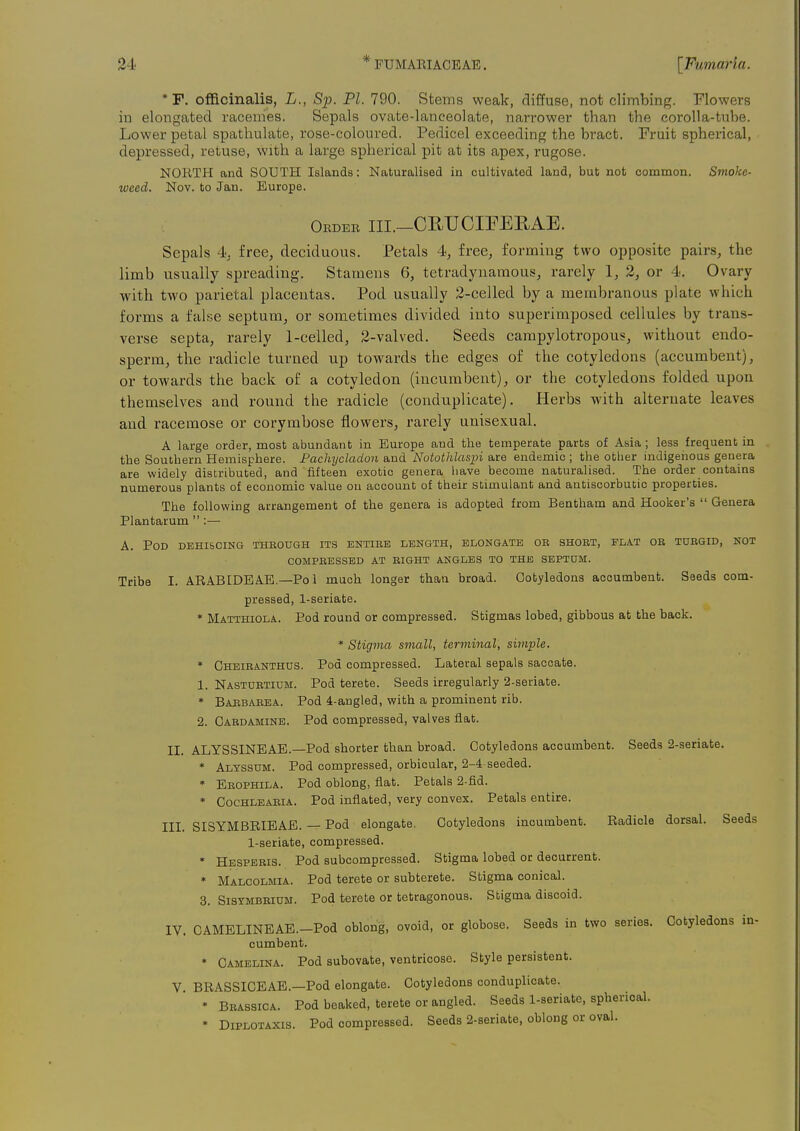 * P. officinalis, L., Sp. PI. 790. Stems weak, diffuse, not climbing. Flowers in elongated racemes. Sepals ovate-lanceolate, narrower than the corolla-tube. Lower petal spathulate, rose-coloured. Pedicel exceeding the bract. Fruit spherical, depressed, retuse, with a large spherical pit at its apex, rugose. NORTH and SOUTH Islands: Naturalised in cultivated land, bub not common. Smoke- weed. Nov. to Jan. Europe. Oeder iii.-CEUCIFEEAE. Sepals 4. free, deciduous. Petals 4, free, forming two opposite pairs, the limb usually spreading. Stamens 6, tetradynamous, rarely 1, 2, or 4. Ovary with two parietal placentas. Pod usually 2-celled by a membranous plate which forms a iahe septum, or sometimes divided into superimposed cellules by trans- verse septa, rarely 1-celled, 2-valved. Seeds campylotropous, without endo- sperm, the radicle turned up towards the edges of the cotyledons (accumbent), or towards the back of a cotyledon (incumbent), or the cotyledons folded upon themselves and round the radicle (conduplicate). Herbs with alternate leaves and racemose or corymbose flowers, rarely unisexual. A large order, most abundant in Europe and the temperate parts of Asia; less frequent in the Southern Hemisphere. Pachycladon and Notothlaspi are endemic ; the other indigenous genera are widely distributed, and fifteen exotic genera have become naturalised. The order contains numerous plants of economic value ou account of their stimulant and antiscorbutic properties. The following arrangement of the genera is adopted from Bentham and Hooker's  Genera Plantarum :— A. Pod dehiscing through its entire length, elongate oe short, flat or turgid, hot COMPRESSED AT RIGHT ANGLES TO THE SEPTOM. Tribe I. ARABIDEAE.—Pol much longer than broad. Cotyledons aooumbent. Seeds com- pressed, 1-seriate. * Matthiola. Pod round or compressed. Stigmas lobed, gibbous at the back. * Stigma small, terminal, simple. * Cheiranthus. Pod compressed. Lateral sepals saccate. 1. Nasturtium. Pod terete. Seeds irregularly 2-seviate. * Babbarea. Pod 4-angled, with a prominent rib. 2. Cardamine. Pod compressed, valves flat. II. ALYSSINEAE.—Pod shorter than broad. Cotyledons accumbent. Seeds 2-seriate. * Alyssum. Pod compressed, orbicular, 2-4 seeded. » Erophila. Pod oblong, flat. Petals 2-fid. * Cochlearia. Pod inflated, very convex. Petals entire. III. SISYMBRIBAE. — Pod elongate. Cotyledons incumbent. Radicle dorsal. Seeds 1-seriate, compressed. * Hesperis. Pod subcompressed. Stigma lobed or decurrent. * Malcolmia. Pod terete or subterete. Stigma conical. 3. Sisymbrium. Pod terete or tetragonous. Stigma discoid. IV. CAMELINBAE.-Pod oblong, ovoid, or globose. Seeds in two series. Cotyledons in- cumbent. * Gamelina. Pod subovate, ventricose. Style persistent. V BRASSICEAE.—Pod elongate. Cotyledons conduplicate. » Brassica. Pod beaked, terete or angled. Seeds l-seriate, spherical. * DiPLOTAXis. Pod compressed. Seeds 2-8eriate, oblong or oval.