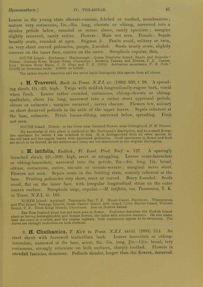 Leaves iu the young state obovate-euneate, 3-lobed or toothed, membranous; mature very coriaceous, lin.-2iu. long, obovate or oblong, narrowed into a slender petiole below, rounded or retuse above, rarely apiculate; margins slightly recurved, rarely entire. Flowers: Male not seen. Female: Sepals broadly ovate, rounded at apex. Stigmas 2. Fruits, ovoid, solitary or twin, on very short curved peduncles, purple, 2-seeded. Seeds nearly ovate, slightly concave on the inner face, convex on the outer. Strophiole cupular, thin. SOUTH Island : Bicchanan! Marlborough: Queen Charlotte Sound, Banks and Solander! Nelson: Graham River, Mount Owen, Gheesernan ! Between Takaka and Riwaka, T. K. Canter- bury: Broken River Basin, J. D. Buys and T. K. (1876). Ashburton mountains, T. H. Potts t Chiefly on limestone rocks. 2,000£fc. to 4,000ft. The rather slender branches and the strict habit distinguish this species from all others. 4. H. Traversii, Buck, in Trans. N.Z.I, xv. (1882) 339, t. 28. A spread- ing shrub, lft.-2ft. high. Twigs with reddish longitudinally-rugose bark, viscid when fresh. Leaves rather crowded, coriaceous, oblong-obovate or oblong- spathulate, about lin. long, narrowed into a rather stout appressed petiole, obtuse or subacute ; margins recurved ; nerves obscure. Flowers few, solitary on short decurved pedicels in the axils of the upper leaves. Sepals coherent at the base, subacute. Petals linear-oblong, narrowed below, spreading. Fruit not seen. SOUTH Island : Nelson : in the forest near Gouland Downs, near Gollingwood, H. H. Travers. My knowledge of this plant is confined to Mr. Buchanan's description, and to a small flower- less specimen for which I am indebted to him. It is distinguished from all other species by the red bark and the rugose leaves with appressed peduncles. Good specimens in flower and fruit are much to be desired, as the anthers and ovary are not mentioned in the original description. 5. H. latifolia, Endlich., Fl. Insul. Prod. Norf. n. 127. A sparingly branched shrub, 2ft.-10ft. high, erect or straggling. Leaves ovate-lanceolate or oblong-lanceolate, narrowed into the petiole, 2in.-4in. long, lin. broad, obtuse, coriaceous, entire, sinuate or sinuate-serrate; marginal nerve stout. Flowers not seen. Sepals ovate in the fruiting state, scarcely coherent at the base. Fruiting peduncles very short, erect or curved. Berry 2-seeded. Seeds ovoid, flat on the inner face, with irregular longitudinal striae on the outer convex surface. Strophiole large, cupular.—H. latifolia, var. Tasmanica, T. K. in Trans. N.Z.I, iii. 163. NORTH Island: Auckland: Tapotopoto Bay, T. ^. Mount Camel, Bzw/ianan. Whangapoua and Flat Island, Taranga Islands, Great Barrier Island, Arid Island, Little Barrier Island, Waiheki Island, T. K. Three Kings Islands, Gheesernan. Also on Norfolk Island. The New Zealand plant has not been seen in flower. Endlioher describes the Norfolk Island plant as having hermaphrodite and female flowers, the latter with abortive stamens. He also states that the ovary is 2-celled, and the stigma capitate : both statements appear to be erroneous. The leaves are strongly reticulate on both surfaces. 6. H. Chathamica, T. Kirk in Trans. N.Z.I, xxviii. (1895) 514. An erect shrub with furrowed lenticellate bark. Leaves lanceolate or oblong- lanceolate, narrowed at the base, acute, 3in.-5in. long, fin.-Uin. broad, very coriaceous, strongly reticulate on both surfaces, sharply toothed. Flowers in crowded fascicles, dioecious. Pedicels slender, longer than the flowers, decurved.