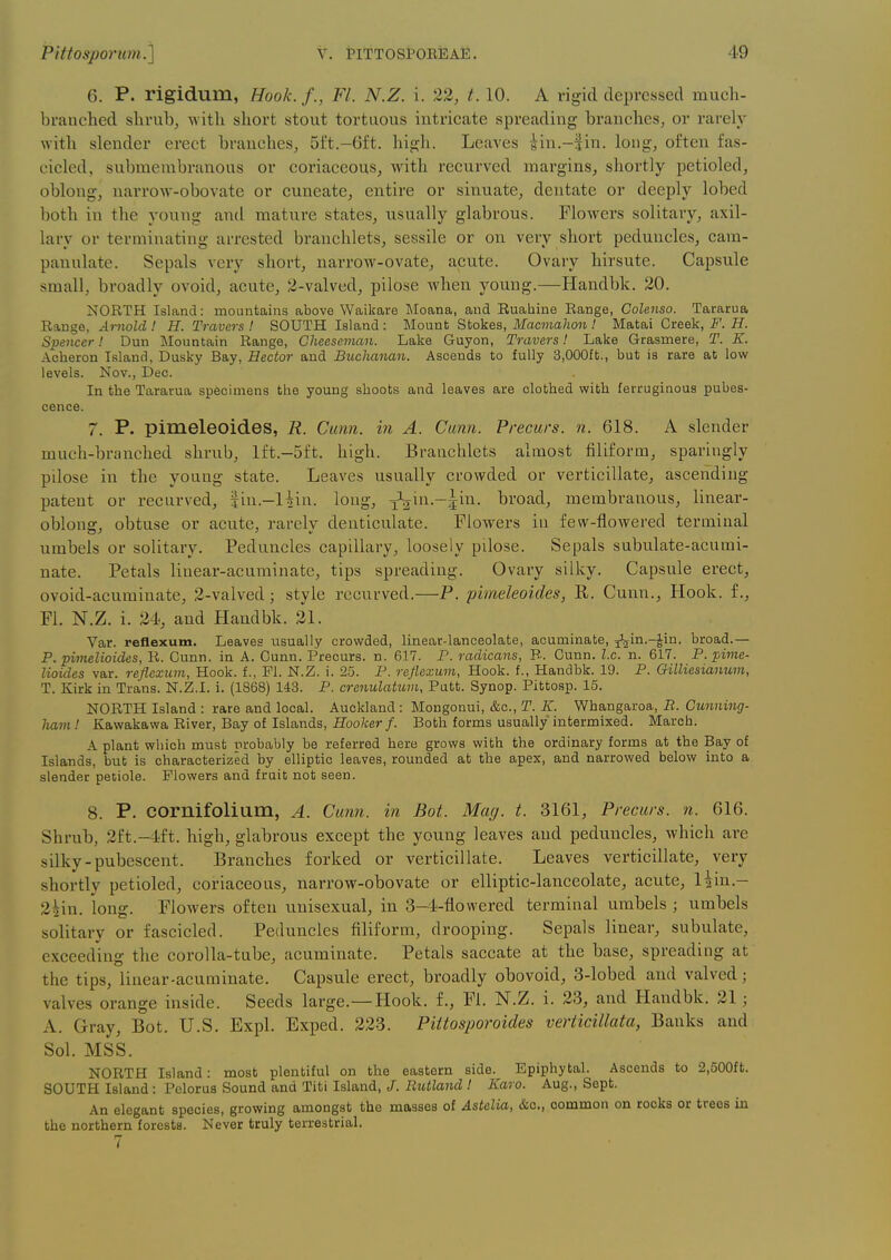 6. P. rigidum, Hook.f., Fl. N.Z. i. 22, 1.10. A rigid depressed much- branched shrub, with short stout tortuous intricate spreading branches, or rarely with slender erect branches, 5i't.-6ft. high. Leaves iin.-fin. long, often fas- cicled, submembranous or coriaceous, with recurved margins, shortly petioled, oblong, narrow-obovate or cuneate, entire or sinuate, dentate or deeply lobed both in the young and mature states, usually glabrous. Flowers solitary, axil- lary or terminating arrested branchlets, sessile or on very short peduncles, cam- panulate. Sepals very short, narrow-ovate, acute. Ovary hirsute. Capsule small, broadly ovoid, acute, 2-valved, pilose when young.—Handblc. 20. NORTH Island: mountains above Waikare Moana, and Ruabine Range, Colenso. Tararua Range, Arnold ! H. Travers ! SOUTH Island : Mount Stokes, Macmahon ! Matai Creek, F. H. Spencer! Dun Mountain Range, Gheeseman. Lake Guyon, Travers! Lake Grasmere, T. K. Acheron Island, Dusky Bay, Hector and Buchanan. Ascends to fully 3,000ft., but is rare at low levels. Nov., Dec. In the Tararua specimens the young shoots and leaves are clothed with ferruginous pubes- cence. 7. P. pimeleoides, R. Cunn. in A. Cunn. Precurs. n. 618. A slender much-branched shrub, lft.-5ft. high. Branchlets almost filiform, sparingly pilose in the young state. Leaves usually crowded oi- verticillate, ascending patent or recurved, Jin.-lMn. long, J^ia.-^in. broad, membranous, linear- oblong, obtuse or acute, rarely denticulate. Flowers in few-flowered terminal umbels or solitary. Peduncles capillary, loosely pilose. Sepals subulate-acumi- nate. Petals linear-acuminate, tips spreading. Ovary silky. Capsule erect, ovoid-acuminate, 2-valved; style recurved.—P. pimeleoides, R. Cunn., Hook, f., Fl. N.Z. i. 24, and Handbk. 21. Var. reflexum. Leaves usually crowded, linear-lanceolate, acuminate, ^ijin.-^in. broad.— P. pimelioides, R. Cunn. in A. Cunn. Precurs. n. 617. P. radicans, R. Cunn. I.e. n. 617. P. pivie- lioides var. reflexum, Hook, f., Fl. N.Z. i. 25. P. reflexum, Hook, f., Handbk. 19. P. Oilliesianum, T. Kirk in Trans. N.Z.I, i. (1868) 143. P. crenulatum, Putt. Synop. Pittosp. 15. NORTH Island : rare and local. Auckland : Mongonui, &c., T. K. Whangaroa, R. Gunning- ham ! Kawakawa River, Bay of Islands, Hooker f. Both forms usually intermixed. March. A plant which must probably be referred here grows with the ordinary forms at the Bay of Islands, but is characterized by elliptic leaves, rounded at the apex, and narrowed below into a slender petiole. Flowers and fruit not seen. 8. P- COrnifolium, A. Cunn. in Bot. Mag. t. 3161, Precurs. n. 616. Shrub, 2ft.-4ft. high, glabrous except the young leaves and peduncles, which are silky-pubescent. Branches forked or verticillate. Leaves verticillate, very shortly petioled, coriaceous, narrow-obovate or elliptic-lanceolate, acute, Hin.- 2^in. long. Flowers often unisexual, in 3-4-flowered terminal umbels ; umbels solitary or fascicled. Peduncles filiform, drooping. Sepals linear, subulate, exceeding the corolla-tube, acuminate. Petals saccate at the base, spreading at the tips, linear-acuminate. Capsule erect, broadly obovoid, 3-lobed aud valved; valves orange inside. Seeds large.—Hook, f., Fl. N.Z. i. 23, and Handbk. 21; A. Gray, Bot. U.S. Expl. Exped. 223. Piitosporoides veriicillata, Banks and Sol. MSS. NORTH Island: most plentiful on the eastern side. Epiphytal. Ascends to 2,500ft. SOUTH Island: Pelorus Sound and Titi Island, J. Rutland I Karo. Aug., Sept. An elegant species, growing amongst the masses of Astelia, &o., common on rooks or trees in the northern forests. Never truly terrestrial. 7