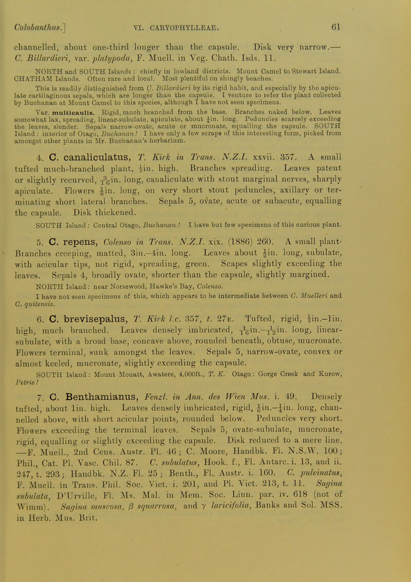 channelled, about one-third longer than the capsule. Disk very narrow.— C. Billardieri, var. platypoda, F. Muell. in Veg. Chath. Isds. 11. NORTH and SOUTH Islands : chiefly in lowland districts. Mount Camel to Stewart Island. CHATHAM Islands. Often rare and local. Most plentiful on shingly beaches. This is readily distinguished from C. Billardieri by its rigid habit, and especially by the apicu- late cartilaginous sepals, which are longer than the capsule. I venture to refer the plant collected by Buchanan at Mount Camel to this species, although I have not seen specimens. Var. multicaulis. Rigid, much branched from the base. Branches naked below. Leaves somewhat lax, spreading, linear-subulate, apiculate, about Jin. long. Peduncles scarcely exceeding the leaves, slender. Sepals narrow-ovato, acute or mucronate, equalling the capsule. SOUTH Island : interior of Otago, Buchanan! I have only a few scraps of this interesting form, picked from amongst other plants in INIr. Buchanan's herbarium. 4. C. canaliculatus, T. Kirk in Trans. N.Z.I, xxvii. 357. A small tufted much-branched plant, hin. high. Branches spreading. Leaves patent or slightly recurved, y\iu. long, canaliculate with stout marginal nerves, sharply apiculate. Flowers ^in. long, on very short stout peduncles, axillary or ter- minating short lateral branches. Sepals 5, ovate, acute or subacute, equalling the capsule. Disk thickened. SOUTH Island : Central Otago, Buchanan ! 1 have but few specimens of this curious plant. 5. C. repens, Coknso in Trans. N.Z.I, xix. (1886) 260. A small plant- Branches creeping, matted, 3iu.-4in. long. Leaves about ^in. long, subulate, with acicular tips, not rigid, spreading, green. Scapes slightly exceeding the leaves. Sepals 4, broadly ovate, shorter than the capsule, slightly margined. NORTH Island : near Norsewood, Hawke's Bay, Colenso. 1 have not seen specimens of this, which appears to be intermediate between C. Mzielleri and G. qtiitensis. 6. C. brevisepalus, T. Kirk I.e. 357, t. 27e. Tufted, rigid, iin.-lin. high, much branched. Leaves densely imbricated, j^gin.—y^gin. long, linear- subulate, with a broad base, concave above, rounded beneath, obtuse, mucronate. Flowers terminal, sunk amongst the leaves. Sepals 5, narrow-ovate, convex or almost keeled, mucronate, slightly exceeding the capsule. SOUTH Island: Mount Mouatt, Awatere, 4,000ft., T. K. Otago : Gorge Creek and Kurow, Petrie I 7. C. BenthamianuS, Fenzl. in Ann. des Wien Mus. i. 49. Densely tufted, about lin. high. Leaves densely imbricated, rigid, |-in.-|in. long, chan- nelled above, with short acicular points, rounded below. Peduncles very short. Flowers exceeding the terminal leaves. Sepals 5, ovate-subulate, mucronate, rigid, equalling or slightly exceeding the capsule. Disk reduced to a mere line. —F. Muell., 2nd Cens. Austr. PI. 46; C. Moore, Handbk. Fl. N.S.W. 100; Phil., Cat. PI. Vase. Chil. 87. C. subulatus, Hook, f., Fl. Antarc. i. 13, and ii. 247, t. 293; Handbk. N.Z. Fl. 25; Benth., FL. Austr. i. 160. C. pulvinatus, F, Muell. in Trans. Phil. Soc. Vict. i. 201, and PI. Vict. 213, t. 11. Sagina subulata, D'Urville, Fl. Ms. Mal. in Mem. Soc. Linn. par. iv. 618 (not of Wimra). Sttf/ina muscosa, jB s(pmrrosa, and y laricifolia, Banks and Sol. MSS. iu Herb. Mus. Brit.