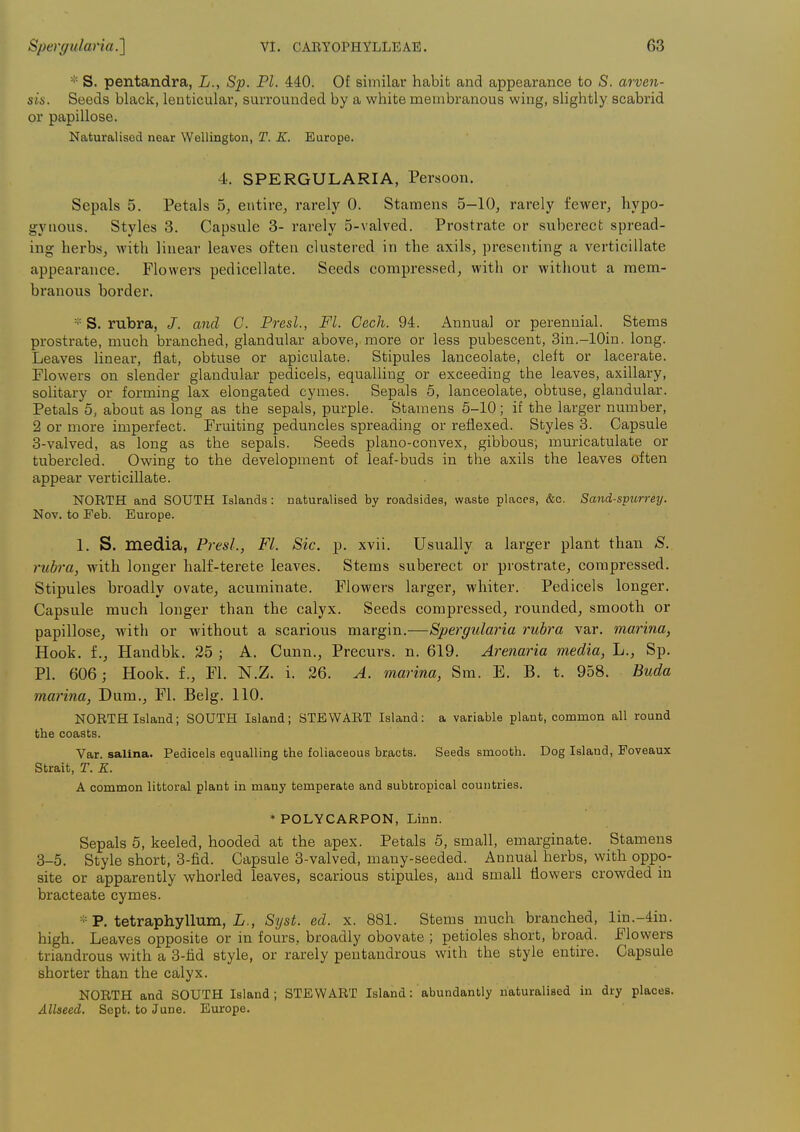 S. pentandra, L., Sp. PI. 440. Of similar habit and appearance to S. arven- sis. Seeds black, lenticular, surrounded by a white membranous wing, slightly scabrid or papillose. Naturalised near Wellington, T. E. Europe. 4. SPERGULARIA, Persoon. Sepals 5. Petals 5, entire, rarely 0. Stamens 5-10, rarely fewer, liypo- gynous. Styles 3. Capsule 3- rarely 5-valved. Prostrate or suberect spread- ing herbs, with linear leaves often clustered in the axils, presenting a verticillate appearance. Flowers pedicellate. Seeds compressed, with or without a mem- branous border. * S. rubra, /. and C. Presl., Fl. Cech. 94. Annual or perennial. Stems prostrate, much branched, glandular above, more or less pubescent, 3in.-10in. long. Leaves linear, flat, obtuse or apiculate. Stipules lanceolate, cleft or lacerate. Flowers on slender glandular pedicels, equalling or exceeding the leaves, axillary, solitary or forming lax elongated cymes. Sepals 5, lanceolate, obtuse, glandular. Petals 5, about as long as the sepals, purple. Stamens 5-10; if the larger number, 2 or more imperfect. Fruiting peduncles spreading or refiexed. Styles 8. Capsule 3-valved, as long as the sepals. Seeds plano-convex, gibbous, mmncatulate or tubercled. Owing to the development of leaf-buds in the axils the leaves often appear verticillate. NORTH and SOUTH Islands: naturalised by roadsides, waste places, &c. Sand-spurreij. Nov. to Feb. Europe. 1. S. media, Presl., Fl. Sic. p. xvii. Usually a larger plant than S. rubra, with longer half-terete leaves. Stems suberect or prostrate, compressed. Stipules broadly ovate, acuminate. Flowers larger, whiter. Pedicels longer. Capsule much longer than the calyx. Seeds compressed, rounded, smooth or papillose, with or without a scarious margin.—Spergularia rubra var. marina, Hook, f., Handbk. 25 ; A. Cunn., Precurs. n. 619. Arenaria media, L., Sp. PI. 606; Hook, f., Fl. N.Z. i. 26. A. marina, Sm. E. B. t. 958. Buda marina, Dum., Fl. Belg. 110. NORTH Island; SOUTH Island; STEWART Island: a variable plant, common all round the coasts. Var. salina. Pedicels equalling the foliaceous bracts. Seeds smooth. Dog Island, Poveaux Strait, r. K. A common littoral plant in many temperate and subtropical countries. *POLYCARPON, Linn. Sepals 5, keeled, hooded at the apex. Petals 5, small, emarginate. Stamens 3-5. Style short, 3-fid. Capsule 3-valved, many-seeded. Annual herbs, with oppo- site or apparently whorled leaves, scarious stipules, and small flowers crowded in bracteate cymes. * P. tetraphyllum, L,, Syst. ed. x. 881. Stems much branched, lin.-4iu. high. Leaves opposite or in fours, broadly obovate ; petioles short, broad. Flowers triandrous with a 3-tid style, or rarely pentandrous with the style entire. Capsule shorter than the calyx. NORTH and SOUTH Island ; STEWART Island: abundantly naturalised in dry places. Allseed. Sept. to June. Europe.