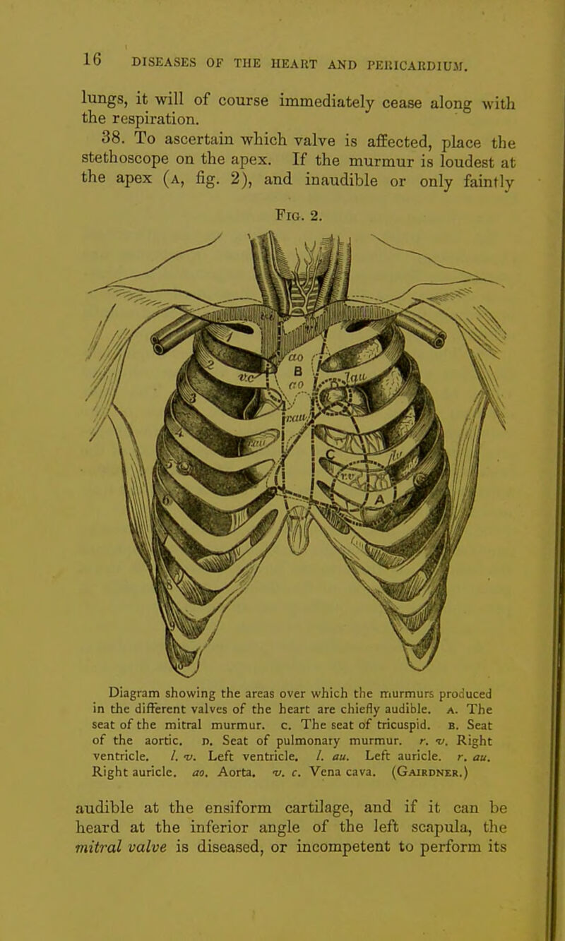 lungs, it -will of course immediately cease along with the respiration. 38. To ascertain which valve is afEected, place the stethoscope on the apex. If the murmur is loudest at the apex (a, fig. 2), and inaudible or only faintly Fig. 2. Diagram showing the areas over which the rriurmurs produced in the different valves of the heart are chiefly audible, a. The seat of the mitral murmur, c. The seat of tricuspid, b. Seat of the aortic, n. Seat of pulmonary murmur, r. -v. Right ventricle. /. v. Left ventricle. /. au. Left auricle, r. au. Right auricle, ao. Aorta, -v. c. Vena cava. (Gairdnzr.) audible at the ensiform cartilage, and if it can be heard at the inferior angle of the left scapula, the mitral valve is diseased, or incompetent to perform its