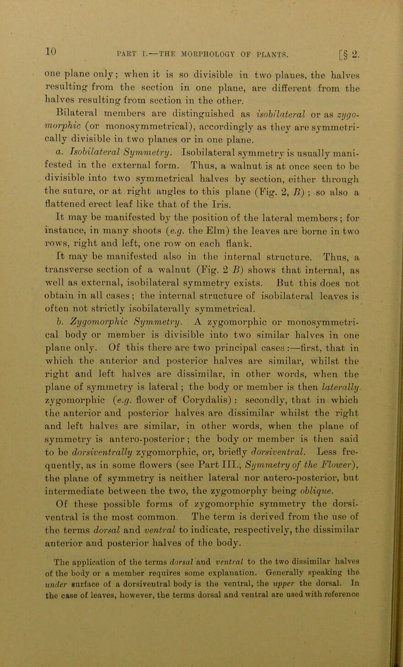 one plane only; when it is so divisible in two planes, the halves resulting from the section in one plane, are different from the halves resulting from section in the other. Bilateral members are distinguished as isobilateral or as zygo- morphic (or monosymmetrical), accordingly as they are symmetri- cally divisible in two planes or in one plane. a. Isobilateral Symmetry. Isobilateral symmetry is usually mani- fested in the external form. Thus, a walnut is at once seen to be divisible into two symmetrical halves by section, either through the suture, or at right angles to this plane (Fig. 2, B) ; so also a flattened erect leaf like that of the Iris. It may be manifested by the position of the lateral members; for instance, in many shoots (e.g. the Elm) the leaves are borne in two rows, right and left, one row on each flank. It may be manifested also in the internal structure. Thus, a transverse section of a walnut (Fig. 2 B) shows that internal, as well as external, isobilateral symmetry exists. But this does not obtain in all cases ; the internal structure of isobilateral leaves is often not strictly isobilaterally symmetrical. b. Zygomorphic Symmetry. A zygomorphic or monosymmetri- cal body or member is divisible into two similar halves in one plane only. Of this there are two principal cases :—first, that in which the anterior and posterior halves are similar, whilst the right and left halves are dissimilar, in other words, when the plane of symmetry is lateral; the body or member is then laterally zygomorphic (e.g. flower of Corydalis) : secondly, that in which the anterior and posterior halves are dissimilar whilst the right and left halves are similar, in other words, when the plane of symmetry is antero-posterior ; the body or member is then said to be dorsiventrally zygomorphic, or, briefly dorsiventral. Less fre- quently, as in some flowers (see Part III., Symmetry of the Flower), the plane of symmetry is neither lateral nor antero-posterior, but intermediate between the two, the zygomorphy being oblique. Of these possible forms of zygomorphic symmetry the dorsi- ventral is the most common. The term is derived from the use of the terms dorsal and ventral to indicate, respectively, the dissimilar anterior and posterior halves of the body. The application of the terms dorsal and ventral to the two dissimilar halves of the body or a member requires some explanation. Generally speaking the under surface of a dorsiventral body is the ventral, the upper the dorsal. In the case of leaves, however, the terms dorsal and ventral are used with reference