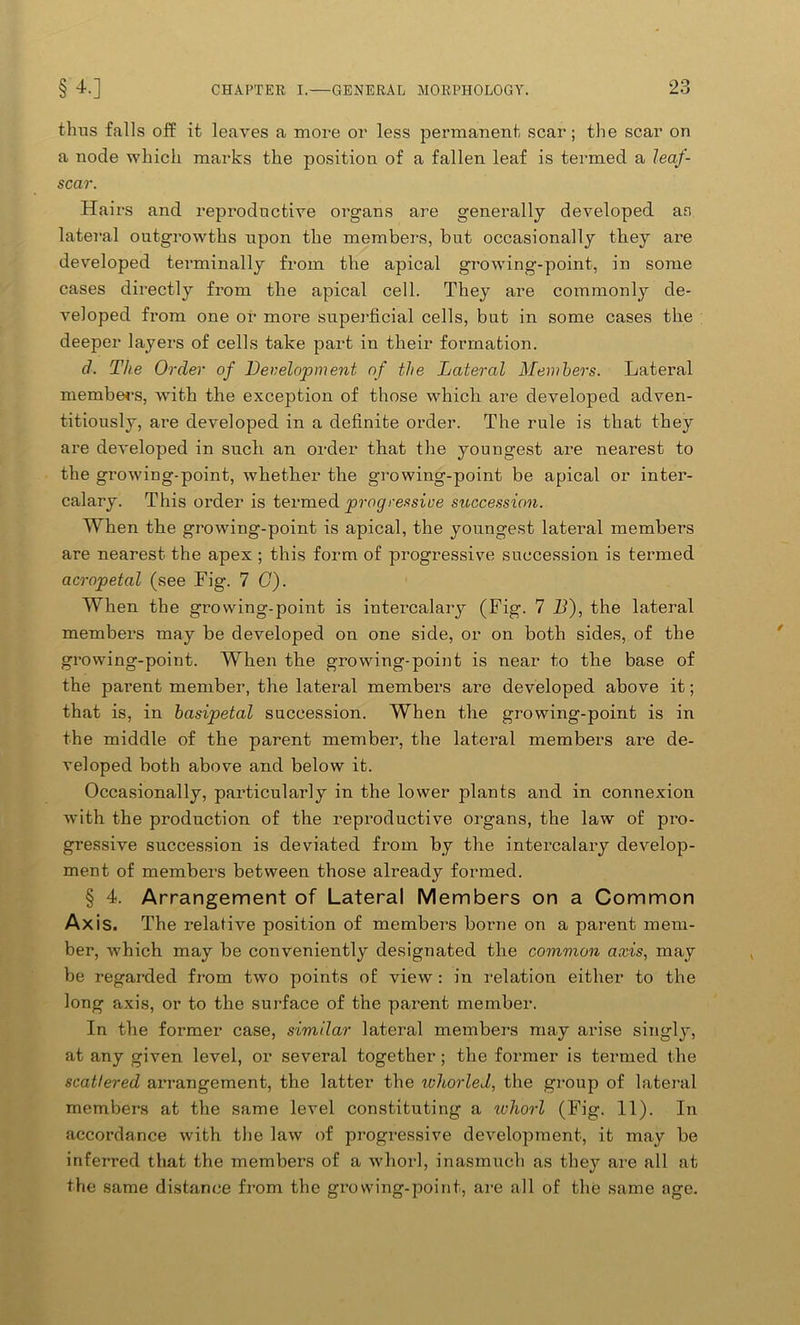 thus falls off it leaves a more or less permanent scar; the scar on a node which marks the position of a fallen leaf is termed a leaf- scar. Hairs and reproductive organs are generally developed as lateral outgrowths upon the members, but occasionally they are developed terminally from the apical growing-point, in some cases directly from the apical cell. They are commonly de- veloped from one or more superficial cells, but in some cases the deeper layers of cells take part in their formation. d. The Order of Development of the Lateral Members. Lateral members, with the exception of those which are developed adven- titiously, are developed in a definite order. The rule is that they are deA'eloped in such an order that the youngest are nearest to the growing-point, whether the growing-point be apical or inter- calary. This order is termed progressive succession. When the growing-point is apical, the youngest lateral members are nearest the apex ; this form of progressive succession is termed acropetal (see Fig. 7 G). When the growing-point is intercalary (Fig. 7 D), the lateral members may be developed on one side, or on both sides, of the growing-point. When the growing-point is near to the base of the parent member, the lateral members are developed above it; that is, in basipetal succession. When the growing-point is in the middle of the parent member, the lateral members are de- veloped both above and below it. Occasionally, particularly in the lower plants and in connexion with the production of the reproductive organs, the law of pro- gressive succession is deviated from by the intercalary develop- ment of members between those already formed. § 4. Arrangement of Lateral Members on a Common Axis. The relative position of members borne on a parent mem- ber, which may be conveniently designated the common axis, may be regarded from two points of view : in relation either to the long axis, or to the surface of the parent member. In the former case, similar lateral members may arise singly, at any given level, or several together ; the former is termed the scattered arrangement, the latter the ivhorled, the group of lateral members at the same level constituting a whorl (Fig. 11). In accordance with the law of progressive development, it may be inferred that the members of a whorl, inasmuch as they are all at the same distance from the growing-point, are all of the same age.