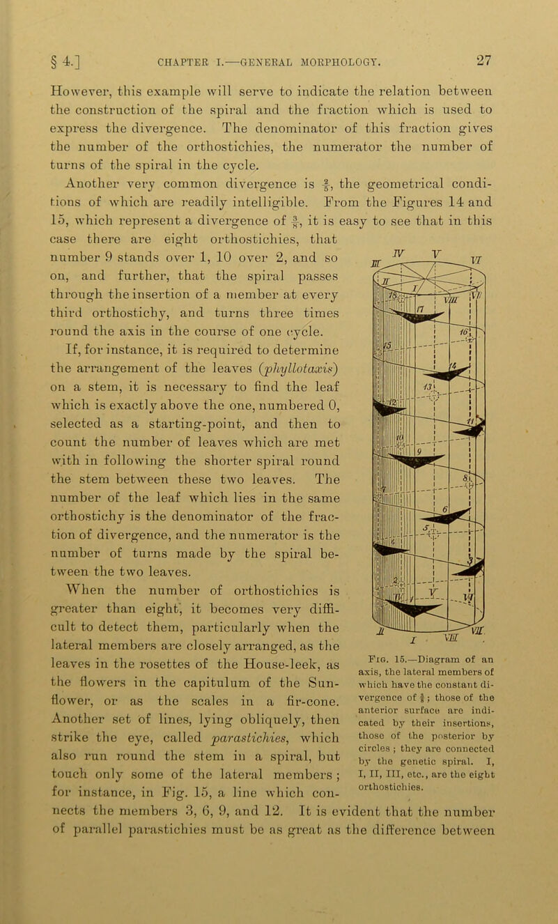 However, this example will serve to indicate the relation between the construction of the spiral and the fraction which is used to express the divergence. The denominator of this fraction gives the number of the orthostichies, the numerator the number of turns of the spiral in the cycle. Another very common divergence is •§-, the geometrical condi- tions of which are readily intelligible. From the Figures 14 and 15, which represent a divergence of f, it is easy to see that in this case there are eight orthostichies, that number 9 stands over 1, 10 over 2, and so on, and further, that the spiral passes through the insertion of a member at every third orthosticby, and turns three times round the axis in the course of one cycle. If, for instance, it is required to determine the arrangement of the leaves (;phy Hot axis) on a stem, it is necessary to find the leaf which is exactly above the one, numbered 0, selected as a starting-poiut, and then to count the number of leaves which are met with in following the shorter spiral round the stem between these two leaves. The number of the leaf which lies in the same orthostichy is the denominator of the frac- tion of divergence, and the numerator is the number of turns made by the spiral be- tween the two leaves. When the number of orthostichies is greater than eight, it becomes very diffi- cult to detect them, particularly when the lateral members are closely arranged, as the leaves in the rosettes of the House-leek, as the flowers in the capitulum of the Sun- flower, or as the scales in a fir-cone. Another set of lines, lying obliquely, then strike the eye, called parastichies, which also run round the stem in a spiral, but touch only some of the lateral members ; for instance, in Fig. 15, a line which con- nects the members 3, 6, 9, and 12. It is evident that the number of parallel parastichies must be as great as the difference between Tig. 15.—Diagram of an axis, the lateral members of which have the constant di- vergence of f; those of the anterior surface are indi- cated by their insertions, those of the posterior by circles ; they are connected by the genetic spiral. I, I, II, III, etc., aro the eight orthostichies.