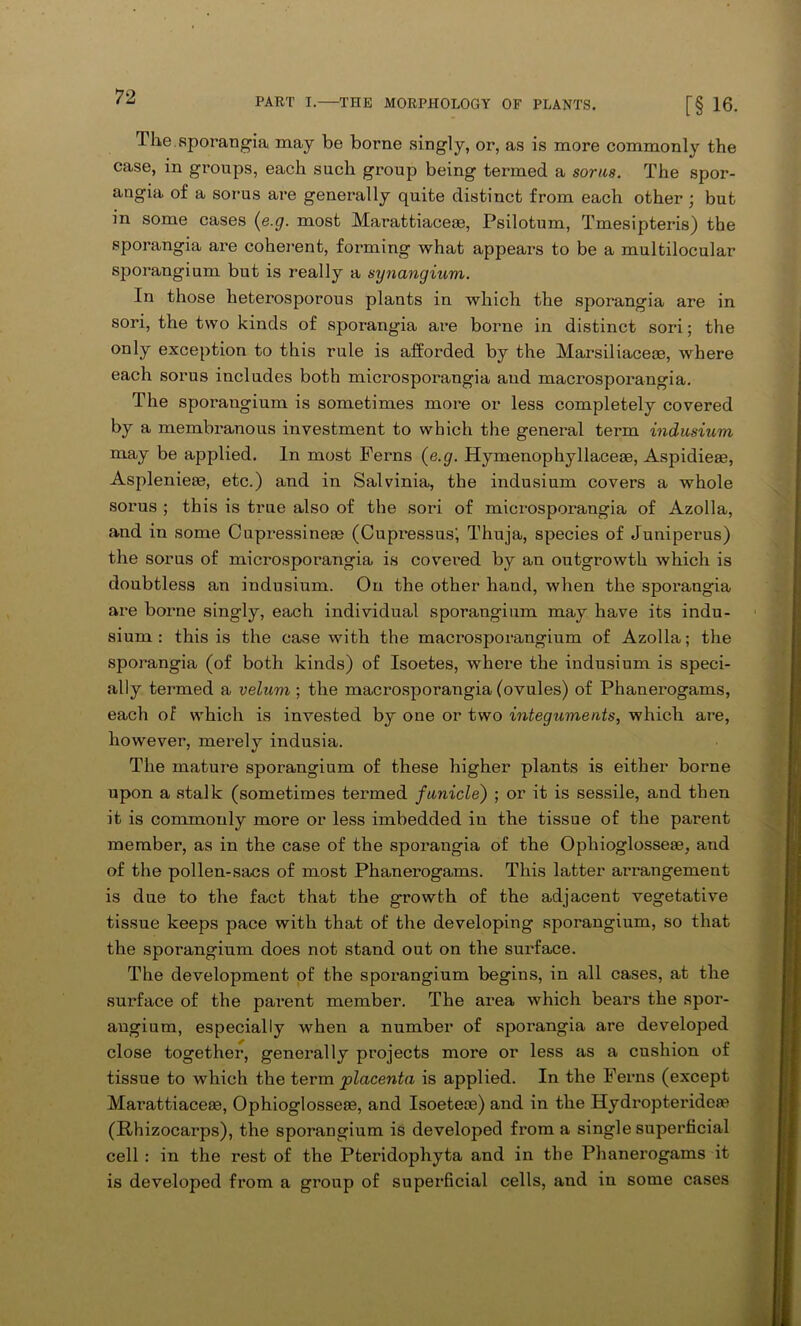 The sporangia may be borne singly, or, as is more commonly the case, in groups, each such group being termed a sorus. The spor- angia of a sorus are generally quite distinct from each other; but in some cases (e.g. most Marattiacese, Psilotum, Tmesipteris) the sporangia are coherent, forming what appears to be a multilocular sporangium but is really a synangium. In those heterosporous plants in which the sporangia are in sori, the two kinds of sporangia are borne in distinct sori; the only exception to this rule is afforded by the Marsiliaceae, where each sorus includes both microsporangia and macrosporangia. The sporangium is sometimes more or less completely covered by a membranous investment to which the general term indusium may be applied. In most Ferns (e.g. Hymenophyllaceae, Aspidieae, Asplenieae, etc.) and in Salvinia, the indusium covers a whole sorus ; this is true also of the sori of microsporangia of Azolla, and in some Cupressinese (Cupressus-, Thuja, species of Juniperus) the sorus of microsporangia is covered by an outgrowth which is doubtless an indusium. On the other hand, when the sporangia are borne singly, each individual sporangium may have its indu- sium : this is the case with the macrosporangium of Azolla; the sporangia (of both kinds) of Isoetes, where the indusium is speci- ally termed a velum ; the macrosporangia (ovules) of Phanerogams, each of which is invested by one or two integuments, which are, however, merely indusia. The mature sporangium of these higher plants is either borne upon a stalk (sometimes termed funicle) ; or it is sessile, and then it is commonly more or less imbedded iu the tissue of the parent member, as in the case of the sporangia of the Opliioglosseae, and of the pollen-sacs of most Phanerogams. This latter arrangement is due to the fact that the growth of the adjacent vegetative tissue keeps pace with that of the developing sporangium, so that the sporangium does not stand out on the surface. The development of the sporangium begins, in all cases, at the surface of the parent member. The area which bears the spor- angium, especially when a number of sporangia are developed close together, generally projects more or less as a cushion of tissue to which the term placenta is applied. In the Ferns (except Marattiaceee, Ophioglosseze, and Isoeteoe) and in the Hydropteridea? (Phizocarps), the sporangium is developed from a single superficial cell : in the rest of the Pteridophyta and in the Phanerogams it is developed from a group of superficial cells, and iu some cases