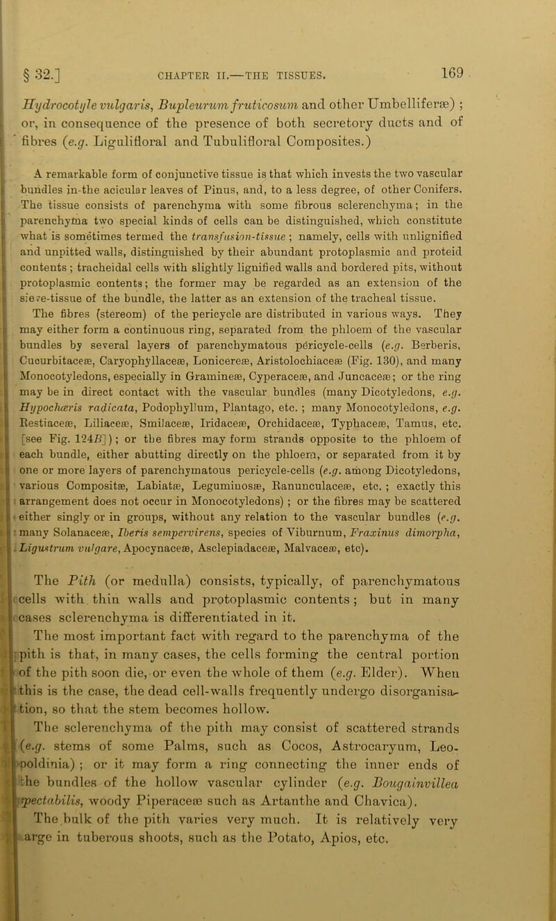 Hydrocot yle vulgaris, Bupleurum fruticosum and other Umbel! ifene) ; or, in consequence of the presence of both secretory ducts and of fibres (e.g. Ligulifloral and Tubulifloral Composites.) A remarkable form of conjunctive tissue is that which invests the two vascular bundles in-tbe aciculor leaves of Pinus, and, to a less degree, of other Conifers. The tissue consists of parenchyma with some fibrous sclerenchyma; in the parenchytna two special kinds of cells can be distinguished, which constitute what is sometimes termed the transfusion-tissue ; namely, cells with unlignified and unpitted walls, distinguished by their abundant protoplasmic and proteid contents ; tracheidal cells with slightly lignified walls and bordered pits, without protoplasmic contents; the former may be regarded as an extension of the sieve-tissue of the bundle, the latter as an extension of the tracheal tissue. The fibres (stereom) of the pericycle are distributed in various ways. They may either form a continuous ring, separated from the phloem of the vascular bundles by several layers of parenchymatous peiricycle-cells (e.g. Berberis, Cucurbitace®, Caryophyllaceas, Lonicere®, Aristolochiace® (Fig. 130), and many Monocotyledons, especially in Gramme®, Cyperace®, and Juncace®; or the ring may be in direct contact with the vascular bundles (many Dicotyledons, e.g. Hypocheeris radicata, Podophyllum, Plantago, etc. ; many Monocotyledons, e.g. Eestiace®, Liliace®, Smilace®, Iridace®, Orchidace®, Typhace®, Tamus, etc. [see Fig. 124B]); or tbe fibres may form strands opposite to the phloem of each bundle, either abutting directly on the phloem, or separated from it by one or more layers of parenchymatous perieycle-cells (e.g. among Dicotyledons, various Composit®, Labiat®, Legumiuos®, Ranunculace®, etc. ; exactly this arrangement does not occur in Monocotyledons) ; or the fibres may be scattered either singly or in groups, without any relation to the vascular bundles (e.g. many Solanace®, Iberis sempervirens, species of Viburnum, Fraxinus dimorpha, Ligustrum vulgare, Apocynace®, Asclepiadace®, Malvace®, etc). The Pith (or medulla) consists, typically, of parenchymatous cells with thin walls and protoplasmic contents ; but in many cases sclerenchyma is differentiated in it. The most important fact with regard to the parenchyma of the : pith is that, in many cases, the cells forming the central portion of the pith soon die, or even the whole of them (e.g. Elder). When this is the case, the dead cell-walls frequently undergo disorganisa- ' tion, so that the stem becomes hollow. The sclerenchyma of the pith may consist of scattered strands (e.g. stems of some Palms, such as Cocos, Astrocaryum, Leo- poldinia) ; or it may form a ring connecting the inner ends of the bundles of the hollow vascular cylinder (e.g. Bougainvillea ipectabilis, woody Piperaceco such as Artanthe and Chavica). The bulk of the pith varies very much. It is relatively very arge in tuberous shoots, such as the Potato, Apios, etc.