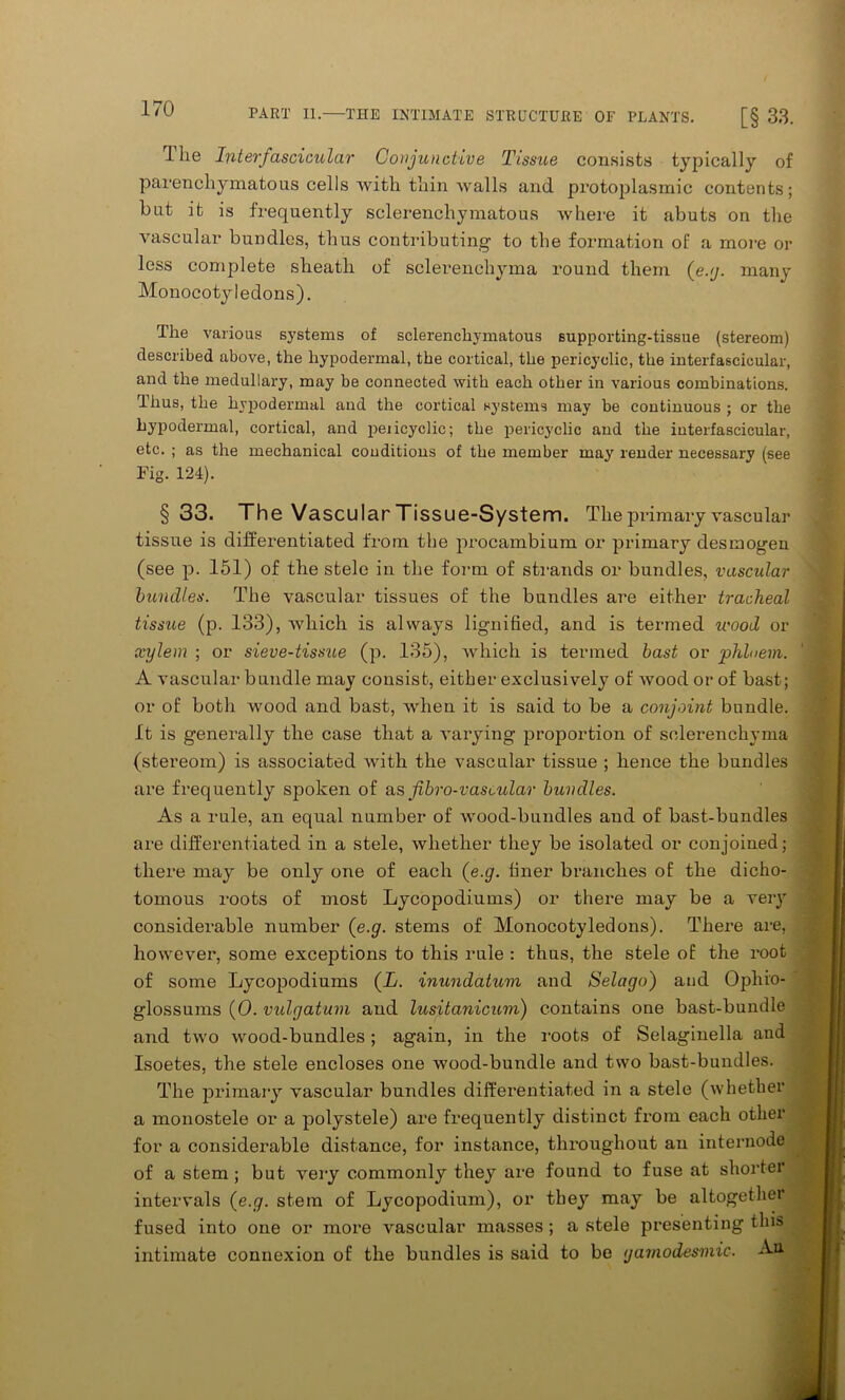 1 lie Interfascicular Conjunctive Tissue consists typically of parenchymatous cells ■with thin walls and protoplasmic contents; but it is frequently sclerenchymatous where it abuts on the vascular bundles, thus contributing1 to the formation of a more or less complete sheath of sclerenchyma round them (e./j. many Monocotyledons). The various systems of sclerenchymatous supporting-tissue (stereom) described above, the hypodermal, the cortical, the pericyclic, the interfascicular, and the medullary, may be connected with each other in various combinations. Thus, the hypodermal and the cortical systems may be continuous ; or the hypodermal, cortical, and peiicyclic; the pericyclic and the interfascicular, etc. ; as the mechanical conditions of the member may render necessary (see Fig. 124). §33. The Vascular Tissue-System. The primary vascular tissue is differentiated from the procambium or primary desmogen (see p. 151) of the stele in the form of strands or bundles, vascular bundles. The vascular tissues of the bundles are either tracheal tissue (p. 133), which is always lignified, and is termed wood or xylem ; or sieve-tissue (p. 135), which is termed bast or phloem. A vascular bundle may consist, either exclusively of wood or of bast; or of both wood and bast, when it is said to be a conjoint bundle. It is generally the case that a varying proportion of sclerenchyma (stereom) is associated with the vascular tissue ; hence the bundles are frequently spoken of as fibro-vascidar bundles. As a rule, an equal number of wood-bundles and of bast-bundles are differentiated in a stele, whether they be isolated or conjoined; there may be only one of each (e.g. liner branches of the dicho- tomous roots of most Lycopodiums) or there may be a very considerable number (e.g. stems of Monocotyledons). There are, however, some exceptions to this rule : thus, the stele of the root of some Lycopodiums (L. inundatum and Selago) and Ophio- glossums (0. vidgatum and lusitanicum) contains one bast-bundle and two wood-bundles ; again, in the roots of Selaginella and Isoetes, the stele encloses one wood-bundle and two bast-bundles. The primary vascular bundles differentiated in a stele (whether a monostele or a polystele) are frequently distinct from each other for a considerable distance, for instance, throughout an internode of a stem; but very commonly they are found to fuse at shorter intervals (e.g. stem of Lycopodium), or they may be altogether fused into one or more vascular masses; a stele presenting this intimate connexion of the bundles is said to be garnodesmic. An