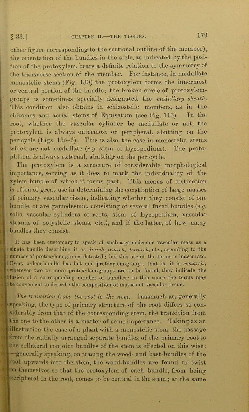 other figure corresponding to the sectional outline of the member), the orientation of the bundles in the stele, as indicated by the posi- tion of the protoxylem, bears a definite relation to the symmetry of the transverse section of the member. For instance, in medullate monostelic stems (Fig. 130) the protoxylem forms the innermost or central portion of the bundle; the broken circle of protoxylem- groups is sometimes specially designated the medullary sheath. This condition also obtains in schizostelic members, as in the rhizomes and aerial stems of Equisetum (see Fig. 116). In the root, whether the vascular cylinder be medullate or not, the protoxylem is always outermost or peripheral, abutting on the pericycle (Figs. 135-6). This is also the case in monostelic stems which are not medullate (e.g. stem of Lycopodium). The proto- phloem is always external, abutting on the pericycle. The protoxylem is a structure of considerable morphological importance, serving as it does to mark the individuality of the xylem-bundle of which it forms part. This means of distinction is often of great use in determining the constitution of large masses of primary vascular tissue, indicating whether they consist of one bundle, or are gamodesmic, consisting of several fused bundles (e.g. solid vascular cylinders of roots, stem of Lycopodium, vascular strands of polystelic stems, etc.), and if the latter, of how many 1 bundles they consist. It has been customary to speak of such a gamodesmic vascular mass as a single bundle describing it as diarch, triarch, tetrarch, etc., according to the aumber of protoxylem-groups detected ; but this use of the terms is inaccurate. Every xylem-bundle has but one protoxylem-group ; that is, it is monarch; wherever two or more protoxylem-groups are to be found, they indicate the fusion of a corresponding number of bundles ; in this sense the terms may be convenient to describe the composition of masses of vascular tissue. The transition from the root to the stem. Inasmuch as, generally speaking, the type of primary structure of the root differs so con- siderably from that of the corresponding stem, the transition from the one to the other is a matter of some importance. Taking as an illustration the case of a plant with a monostelic stem, the passage from the radially arranged separate bundles of the primary root to the collateral conjoint bundles of the stem is effected on this wise: —generally speaking, on tracing the wood- and bast-bundles of the •oot upwards into the stem, the wood-bundles are found to twist >n themselves so that the protoxylem of each bundle, from being Peripheral in the root, comes to be central in the stem ; at the same