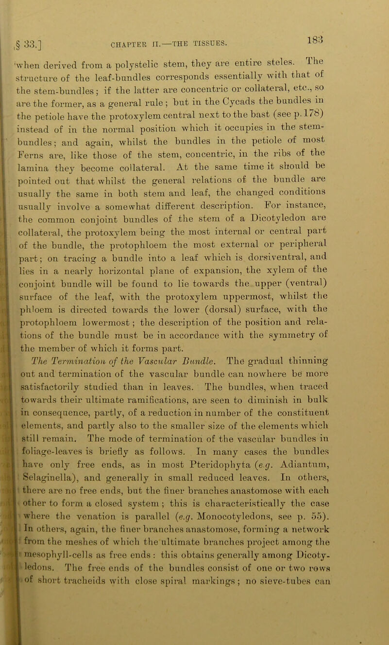 ‘when derived from a polystelic stem, they are entire steles. 1 he structure of the leaf-bundles corresponds essentially with that of the stem-bundles; if the latter are concentric or collateral, etc., so are the former, as a general rule ; but in the Oycads the bundles in the petiole have the protoxylem central next to the bast (see p. 17b) instead of in the normal position which it occupies in the stem- bundles ; and again, whilst the bundles in the petiole of most Ferns are, like those of the stem, concentric, in the ribs of the lamina they become collateral. At the same time it should be pointed out that whilst the general relations of the bundle are usually the same in both stem and leaf, the changed conditions usually involve a somewhat different description. For instance, the common conjoint bundles of .the stem of a Dicotyledon are collateral, the protoxylem being the most internal or central part of the bundle, the protophloem the most external or peripheral part; on tracing a bundle into a leaf which is dorsiventral, and lies in a nearly horizontal plane of expansion, the xylem of the conjoint bundle will be found to lie towards the upper (ventral) surface of the leaf, with the protoxylem uppermost, whilst the phloem is directed towards the lower (dorsal) surface, with the protophloem lowermost ; the description of the position and rela- tions of the bundle must be in accordance with the symmetry of the member of which it forms part. The Termination of the Vascular Bundle. The gradual thinning out and termination of the vascular bundle can nowhere be more satisfactorily studied than in leaves. The bundles, when traced towai’ds their ultimate ramifications, are seen to diminish in bulk in consequence, partly, of a reduction in number of the constituent elements, and partly also to the smaller size of the elements which still remain. The mode of termination of the vascular bundles in foliage-leaves is briefly as follows. In many cases the bundles have only free ends, as in most Pteridophyta (e.g. Adiantum, Selaginella), and generally in small reduced leaves. In others, there are no free ends, but the finer branches anastomose with each other to form a closed system ; this is characteristically the case where the venation is parallel (e.g. Monocotyledons, see p. 55). In others, again, the finerbranchesanastomo.se, forming a network from the meshes of which the ultimate branches project among the mesophyll-cells as free ends : this obtains generally among Dicoty- ledons. The free ends of the bundles consist of one or two rows of short traclieids with close spiral markings; no sieve-tubes can