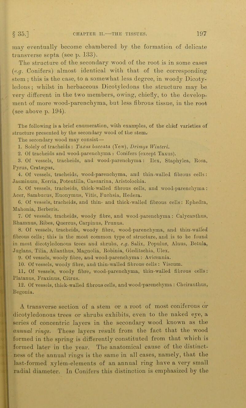 may eventually become chambered by the formation of delicate transverse septa (see p. 133). The structure of the secondary wood of the root is in some cases (*.g. Conifers) almost identical with that of the corresponding- stem ; this is the case, to a somewhat less degree, in woody Dicoty- ledons ; whilst in herbaceous Dicotyledons the structure may be very different in the two members, owing, chiefly, to the develop- ment of more wood-parenchyma, but less fibrous tissue, in the root (see above p. 194). The following is a brief enumeration, with examples, of the chief varieties of structure presented by the secondary wood of the stem. The secondary wood may consist— 1. Solely of tracheids : Taxus baccata (Yew), Drimys Winteri. 2. Of tracheids and wood-parenchyma •, Conifers (except Taxus). 3. Of vessels, tracheids, and wood-parenchyma: Ilex, Staphylea, Rosa, Pvrus, Cratffigns. 4. Of vessels, tracheids, wood-parenchyma, and thin-walled fibrous cells: Jasminum, Kerria, Poteutilla, Casuarina, Aristolochia. 5. Of vessels, tracheids, thick-walled fibrous cells, and wood-parenchyma : Acer, Sambucus, Euonymus, Vitis, Fuchsia, Hedera. 6. Of vessels, tracheids, and thin- and thick-walled fibrous cells: Ephedra, Mahonia, Berberis, 7. Of vessels, tracheids, woody fibre, and wood-parenchyma : Calycanthus, Rhamnus, Ribes, Quercus, Carpinus, Prunus. 8. Of vessels, tracheids, woody fibre, wood-parenchyma, and thin-walled fibrous cells; this is the most common type of structure, and is to be found in most dicotyledonous trees and shrubs, e.g. Salix, Populus, Alnus, Betula, Juglans, Tilia, Ailanthus, Magnolia, Robinia, Gleditschia, Ulex. ‘J. Of vessels, woody fibre, and wood-parenchyma : Avic'ennia. 10. Of vessels, woody fibre, and thin-walled fibrous cells : Yiscum. 11. Of vessels, woody fibre, wood-parenchyma, thin-walled fibrous cells: Platanus, Fraxinus, Citrus. 12. Of vessels, thick-walled fibrous cells, and wood-parenchyma : Cheirantlius, Begonia. A transverse section of a stem or a root of most coniferous or dicotyledonous trees or shrubs exhibits, even to the naked eye, a series of concentric layers in the secondary wood known as the annual rings. These layers result from the fact that the wood formed in the spring is differently constituted from that which is formed later in the year. The anatomical cause of the distinct- ness of the annual rings is the same in all cases, namely, that the last-formed xylem-elements of an annual ring have a very small radial diameter. In Conifers this distinction is emphasized by the