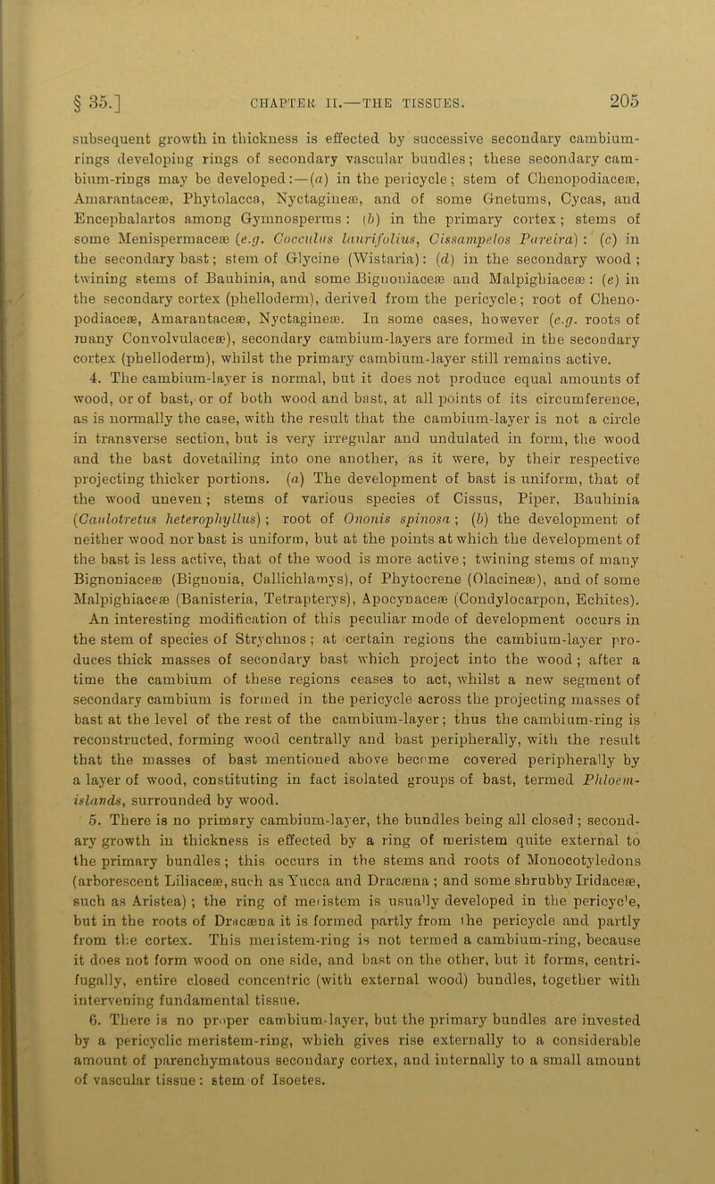 subsequent growth in thickness is effected by successive secondary cambium- rings developing rings of secondary vascular bundles; these secondary cam- bium-rings may be developed:—(a) in the pericycle; stem of Chenopodiaceae, Amarantacete, Phytolacca, Nyctaginem, and of some Gnetums, Cycas, and Encephalartos among Gymnosperms : (?;) in the primary cortex; stems of some Menispermaceffl (e.g. Cocculns laurifolius, Cissampelos Pareira) : (c) in the secondary bast; stem of Glycine (Wistaria): (d) in the secondary wood; twining stems of Baukinia, and some Bignoniacea3 and Malpighiacem: (e) in the secondary cortex (phelloderm), derived from the pericycle; root of Cheno- podiacete, Amarantaceas, Nyctagineae. In some cases, however (e.g. roots of many Convolvulaceae), secondary cambium-layers are formed in the secondary cortex (pbelloderm), whilst the primary cambium-layer still remains active. 4. The cambium-layer is normal, but it does not produce equal amounts of wood, or of bast, or of both wood and bast, at all points of its circumference, as is normally the case, with the result that the cambium-layer is not a circle in transverse section, but is very irregular and undulated in form, the wood and the bast dovetailing into one another, as it were, by their respective projecting thicker portions, (a) The development of bast is uniform, that of the wood uneven; stems of various species of Cissus, Piper, Bauhinia (Gaulotretus heterophyllus) ; root of Ononis spinosa ; (b) the development of neither wood nor bast is uniform, but at the points at which the development of the bast is less active, that of the wood is more active; twining stems of many Bignoniaceas (Bignouia, Callichlamys), of Phytocrene (Olacineas), and of some Malpighiaceae (Banisteria, Tetrapterys), Apocynaeeas (Condylocarpon, Echites). An interesting modification of this peculiar mode of development occurs in the stem of species of Strychnos ; at certain regions the cambium-layer pro- duces thick masses of secondary bast which project into the wood ; after a time the cambium of these regions ceases to act, whilst a new segment of secondary cambium is formed in the pericycle across the projecting masses of bast at the level of the rest of the cambium-layer; thus the cambium-ring is reconstructed, forming wood centrally and bast peripherally, with the result that the masses of bast mentioned above become covered peripherally by a layer of wood, constituting in fact isolated groups of bast, termed Phloem- islands, surrounded by wood. 5. There is no primary cambium-layer, the bundles being all closed ; second- ary growth in thickness is effected by a ring of noeristem quite external to the primary bundles ; this occurs in the stems and roots of Monocotyledons (arborescent Liliaceas, such as Yucca and Dracaena; and some shrubby Iridaceae, such as Aristea) ; the ring of meiistem is usua'ly developed in the pericyc'e, but in the roots of Dracaena it is formed partly from the pericycle and partly from the cortex. This meristem-ring is not termed a cambium-ring, because it does not form wood on one side, and bast on the other, but it forms, centri- fugally, entire closed concentric (with external wood) bundles, together with intervening fundamental tissue. 6. There is no proper cambium-layer, but the primary bundles are invested by a pericyclic meristem-ring, which gives rise externally to a considerable amount of parenchymatous secondary cortex, and internally to a small amount of vascular tissue : stem of Isoetes.