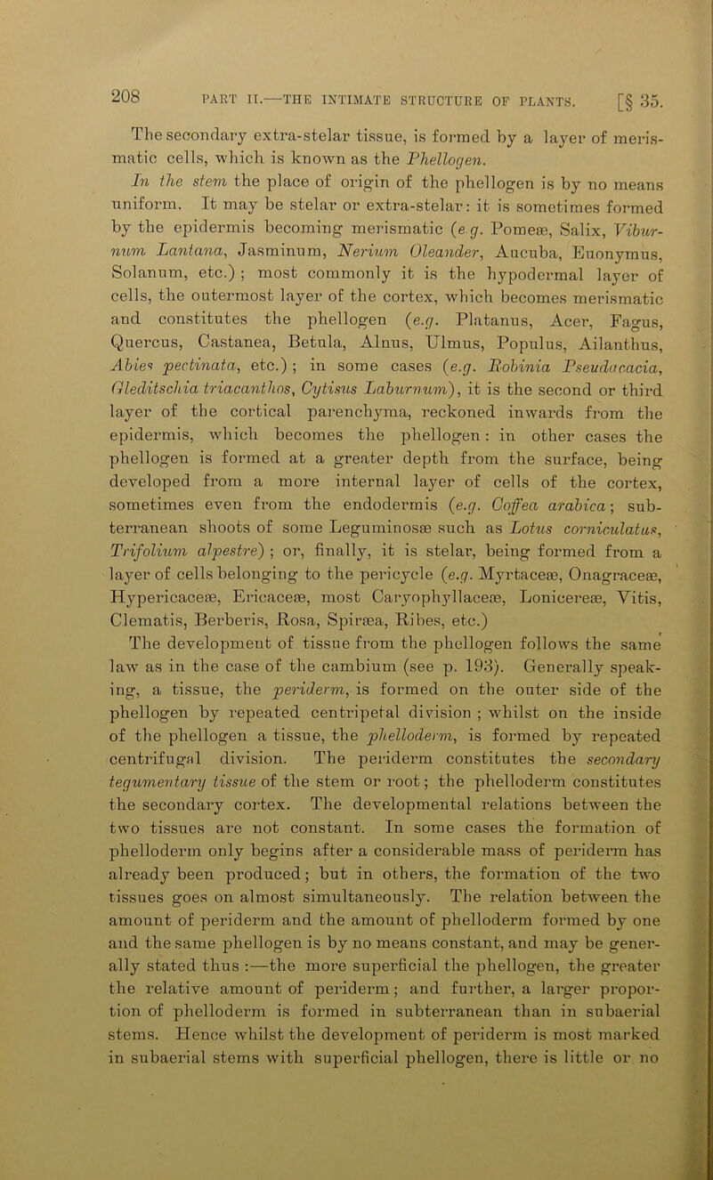 The secondary extra-stelar tissue, is formed by a layer of meris- matic cells, which is known as the Phellogen. In the stem the place of origin of the phellogen is by no means uniform. It may be stelar or extra-stelar: it is sometimes formed by the epidermis becoming merismatic {e g. Pomese, Salix, Vibur- num Lcintana, Jasminum, Nerium Oleander, Aucuba, Euonymus, Solanum, etc.) ; most commonly it is the hypodermal layer of cells, the outermost layer of the cortex, which becomes merismatic and constitutes the phellogen (e.g. Platanus, Acer, Fagus, Quercus, Castanea, Betula, Alnus, Ulmus, Populus, Ailanthus, Abies pectinata, etc.) ; in some cases (e.g. Robinia Pseuducacia, Gleditsclna triacanthos, Cytisus Laburnum), it is the second or third layer of the cortical parenchyma, reckoned inwards from the epidermis, which becomes the phellogen: in other cases the phellogen is formed at a greater depth from the surface, being developed from a more internal layer of cells of the cortex, sometimes even from the endodermis {e.g. Goffea arabica; sub- terranean shoots of some Leguminosas such as Lotus comic,ulatus, Trifolium alpestre) ; or, finally, it is stelar, being formed from a layer of cells belonging to the pericycle {e.g. Myrtacese, Onagraceae, Hypericaceie, Ericaceae, most Caryophyllaceoe, Lonicereae, Vitis, Clematis, Berberis, Rosa, Spiraea, Ribes, etc.) The development of tissue from the phellogen follows the same law as in the case of the cambium (see p. 193). Generally speak- ing, a tissue, the periderm, is formed on the outer side of the phellogen by repeated centripetal division ; whilst on the inside of the phellogen a tissue, the phelloderm, is formed by repeated centrifugal division. The pei-iderm constitutes the secondary tegumentary tissue of the stem or root; the phelloderm constitutes the secondary cortex. The developmental relations between the two tissues are not constant. In some cases the formation of phelloderm only begins after a considerable mass of periderm has already been produced; but in others, the formation of the two tissues goes on almost simultaneously. The relation between the amonnt of periderm and the amount of phelloderm formed by one and the same phellogen is by no means constant, and may be gener- ally stated thus :—the more superficial the phellogen, the greater the relative amount of periderm; and further, a larger propor- tion of phellodenn is formed in subterranean than in subaerial stems. Hence whilst the development of periderm is most marked in subaerial stems with superficial phellogen, there is little or no
