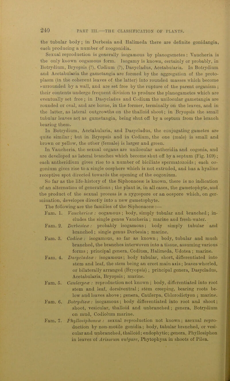 the tubular body ; in Derbesia aud Halimeda there are definite gonidangia, each producing a number of zoogonidia. Sexual reproduction is generally isogatnous by plauogametes: Vaucheria is the only known oogamous form. Isogamy is known, certainly or probably, in Botrydium, Bryopsis (?), Codium (?), Dasycladus, Acetabularia. In Botrydium and Acetabularia the gametangia are formed by the aggregation of the proto- plasm (in the coherent leaves of the latter) into rounded masses which become surrounded by a wall, and are set free by the rupture of the parent organism ; their contents undergo frequent division to produce the plauogametes which are eventually set free ; in Dasycladus and Codium the unilocular gametangia are rounded or oval, and are borne, in the former, terminally on the leaves, and in the latter, as lateral outgrowths on the thalloid shoot; in Bryopsis the small tubular leaves act as gametangia, being shut off by a septum from the branch bearing them. In Botrydium, Acetabularia, and Dasycladus, the conjugating gametes are quite similar ; but in Bryopsis and in Codium, the one (male) is small and brown or yellow, the other (female) is larger and green. In Vaucheria, the sexual organs are unilocular antheridia and oogonia, and are developed as lateral branches which become shut off by a septum (Fig. 1G9); each antheridinm gives rise to a number of biciliate spermatozoids; each oo- gonium gives rise to a single oosphere which is not extruded, and has a hyaline receptive spot directed towards the opening of the oogonium. So far as the life-history of the Siphonacete is known, there is no indication of an alternation of generations ; the plant is, in all cases, the gametopbyte, and the product of the sexual process is a zygospore or an oospore which, on ger- mination, developes directly into a new gametophyte. The following are the families of the Siphonacete :— Fam. 1. Vaucheriecc : oogamous; body, simply tubular and branched; in- cludes the single genus Vaucheria ; marine aud fresh-water. Fam. 2. Derbesiece: probably isogamous; body simply tubular and branched ; single genus Derbesia ; marine. Fam. 3. Codiere : isogamous, so far as known; body, tubular and much branched, the branches interwoven into a tissue, assuming various forms ; principal genera, Codium, Halimeda, Udotea ; marine. Fam. 4. Demy clad ece: isogamous; body tubular, short, differentiated into stem and leaf, the stem being an erect main axis; leaves whorled, or bilaterally arranged (Bryopsis) ; prihcipal genera, Dasycladus, Acetabularia, Bryopsis; marine. Fam. 5. Catderpecc : reproduction not known ; body, differentiated into root stem and leaf, dorsiventral; stem creeping, bearing roots be- low and leaves above; genera, Caiilerpa, Chlorodietyon ; marine. Fam. 6. Botrydiecc: isogamous ; body differentiated into root and shoot; shoot, vesicular, thalloid and unbranched; genera, Botrydium on mud, Codiolum marine. Fam. 7. Phylloxrphonecc : sexual reproduction not known; asexual repro- duction by non-motile gonidia; body, tubular branched, or vesi- cular and unbranched, thalloid; endophytic; genera, Phyllosiphon in leaves of Arisurum vulgarc, Pbytophysa in shoots of Pilea.