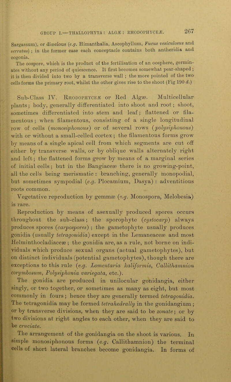 Sargassum), or dioecious (e.g. Himanthalia, Ascopbyllum, Fj/cus vesiculosus and serratus) ; in the former case each conceptacle contains both antheridia and oogonia. The oospore, which is the product of the fertilisation of an oosphere, germin- ates without any period of quiescence. It first becomes somewhat pear-shaped ; it is then divided into two by a transverse wall ; the more pointed of the two cells forms the primary root, whilst the other gives rise to the shoot (Fig 190 d.) Sub-Class IV. Rhodophyce.® or Red Algoe. Multicellular plants; bod}', generally differentiated into shoot and root; shoot, sometimes differentiated into stem and leaf; flattened or fila- mentous ; when filamentous, consisting of a single longitudinal row of cells (vionosiphonous) or of several rows (polysiphonous) with or without a small-celled cortex ; the filamentous forms grow by means of a single apical cell from which segments are cut off either by transverse walls, or by oblique walls alternately right and left; the flattened forms grow by means of a marginal series of initial cells ; but in the Bangiacere there is no growing-point, all the cells being merismatic : branching, generally monopodial, but sometimes sympodial {e.g. Plocamium, Dasya) : adventitious roots common. Vegetative reproduction by gemms {e.g. Monospora, Melobesia) is rare. Reproduction by means of asexually produced spores occurs throughout the sub-class; the sporophyte (cystoccirp) always produces spores (carpospores) ; the gametophyte usually produces gonidia (usually tetragonidia) except in the Lemaneacem and most Helminthocladiaceee ; the gonidia are, as a rule, not borne on indi- viduals which produce sexual organs (actual gametophytes), but on distinct individuals (potential gametophytes), though there are exceptions to this rule {e.g. Lomentarici lcaliformis, Callithamnion corymbosum, Polysiphonia variegata, etc.). The gonidia are produced in unilocular gonidangia, either or two together, or sometimes as many as eight, but most commonly in fours ; hence they are generally termed tetragonidia. The tetragonidia may be formed tetrahedrally in the gonidangium ; or by transverse divisions, when they are said to be zonate-, or by two divisions at right angles to each other, when they are said to be crvciate. The arrangement of the gonidangia on the shoot is various. In simple monosiphonous forms {e.g. Callithamnion) the terminal cells of short lateral branches become gonidangia. In forms of