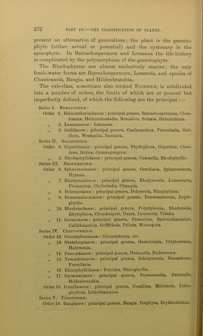 present an alternation of generations; the plant is the gameto- phyte (either actual or potential) and the cystocarp is the sporophyte. In Batrachospermum and Lemanea the life-history is complicated by the polymorphism of the gametophyte. The Rliodophyceae are almost exclusively marine; the only fresh-water forms are Batrachospermum, Lemanea, and species of Chantransia, Bangia, and Hildenbrandtia. The sub-class, sometimes also termed Floride®, is subdivided into a number of orders, the limits of which are at present but imperfectly defined, of which the following are the principal:— Series I. Nejialionin^b. Order 1. Helminthocladiacese : principal genera, Batrachospermum, Chan- transia, Helminthocladia, Nemalion, Scinaia, Helminthora. ,, 2. Lemaneacete : Lemanea. ,, 3. Gelidiaeeas: principal genera, Caulacanthus, Pterocladia, Geli- dium, Wrangelia, Naccaria. . Series II. Gigartinin^e. Order 4. Gigartinaceas: principal genera, Phyllophora, Gigartina, Chon- drus, Iridaea, Gymnogongrus. ,, 5. Rhodophyllidaceae: principal genera, Catenella, Rhodophyllis. Series III. Rhodymeninze. Order 6. Sphaerococcaceae: principal genera, Gracilaria, Sphaerococcus, Hypnea. ,, 7. Rhodymeniaceae: principal genera, Rhodymenia, Lomentaria, Plocamium, Chylocladia, Cliampia. ,, 8. Delesseriace® : principal genera, Delesseria, Nitophyllum. ,, 9. Bonnemaisoniaceae: principal genera, Bonnemaisonia, Lepto- phyllis. ,, 10. Rhodomelaceae: principal genera, Polysiplionia, Rhodomela, Rhytiphlcea, Chondriopsis, Dasya, Laurencia, Vidalia. ,, 11. Ceramiaceae: principal genera, Ceramium, Spermothamnion, Callithamnion, Gritfithsia, Ptilota, Monospora. Series IV. Cryptonemin,®. Order 12. Glceosiphoniace® : Gloeosiphonia, etc. ,, 13. Grateloupiaceae: principal genera, Grateloupia, Cryptonemia, Halymenia. ,, 14. Dumontiaceas: principal genera, Dumontia, Dudresnaya. ,, 15. Nemastomacese: principal genera, Schizymenia, Nemastoma, Furcellaria. ,, 16. Rhizophyllidacese : Pol.vides, Rhizophyllis. ,, 17. Squamariaceoa : principal genera, Peyssonnelia, Petrocelis, Hildenbrandtia. Order 18. Corallinacese: principal genera, Corallina, Melobesia, Litho- phyllum, Lithothamnion. Series V. PorphyriN^e. Order 19. Bangiacea): principal genera, Bangia, Porpliyra, Erythrotrichia.