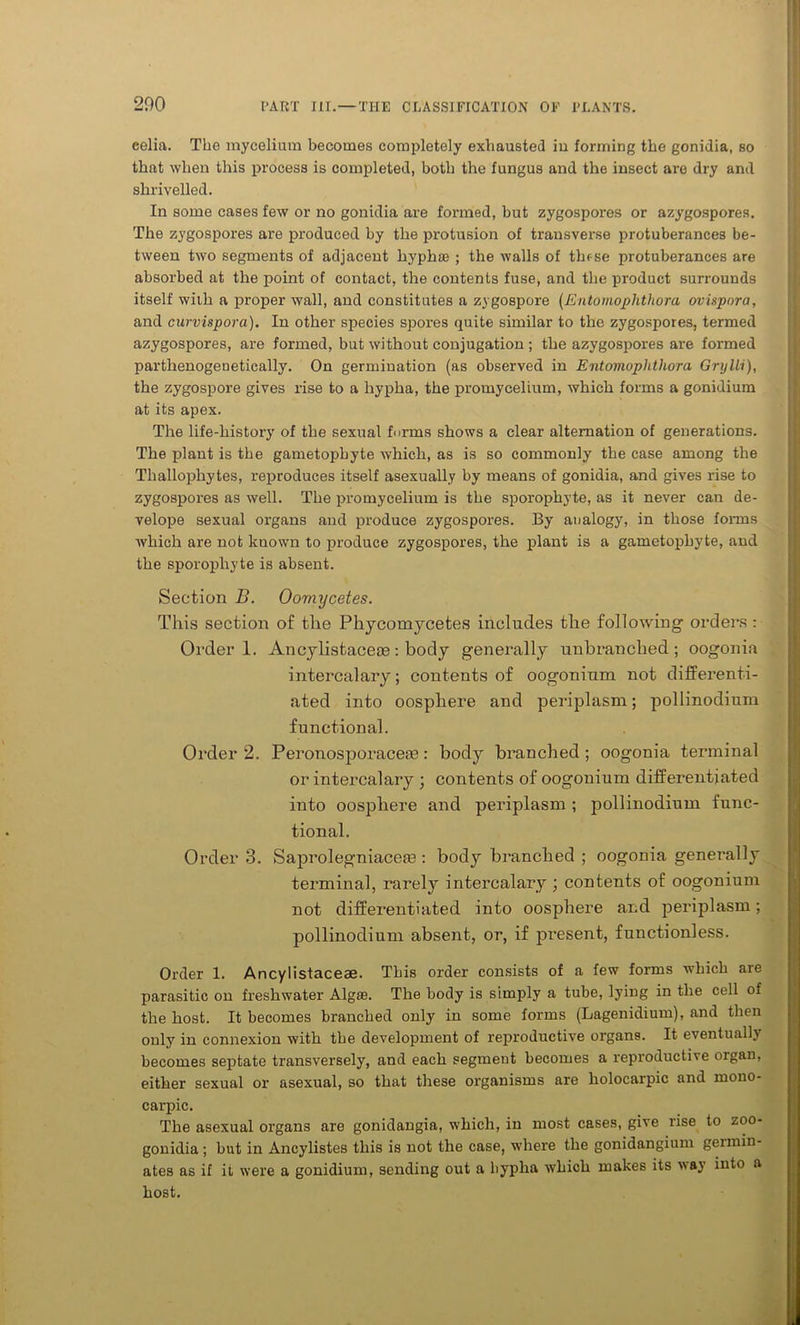 eelia. The mycelium becomes completely exhausted in forming the gonidia, so that when this process is completed, both the fungus and the insect are dry and shrivelled. In some cases few or no gonidia are formed, but zygospores or azygospores. The zygospores are produced by the protusion of transverse protuberances be- tween two segments of adjacent hyphae ; the walls of these protuberances are absorbed at the point of contact, the contents fuse, and the product surrounds itself with a proper wall, and constitutes a zygospore (Entomophthora ovispnra, and curvispora). In other species spores quite similar to the zygospores, termed azygospores, are formed, but without conjugation ; the azygospores are formed parthenogenetically. On germination (as observed in Entomoplitliora Grylli), the zygospore gives rise to a hypha, the promycelium, which forms a gonidium at its apex. The life-history of the sexual fnrms shows a clear alternation of generations. The plant is the gametophyte which, as is so commonly the case among the Thallophytes, reproduces itself asexually by means of gonidia, and gives rise to zygospores as well. The promycelium is the sporophyte, as it never can de- velope sexual organs and produce zygospores. By analogy, in those forms which are not kuown to produce zygospores, the plant is a gametophyte, and the sporophyte is absent. Section B. Oomycetes. This section of the Phycomycetes includes the following orders: Order 1. Ancylistacete: body generally unbranched; oogonia intercalary; contents of oogonium not differenti- ated into oosphere and periplasm; pollinodium functional. Order 2. Peronosporaceoe: body branched; oogonia terminal or intercalary ; contents of oogonium differentiated into oosphere and periplasm ; pollinodium func- tional. Order 3. Saprolegniacese : body branched ; oogonia generally terminal, rarely intercalary ; contents of oogonium not differentiated into oosphere and periplasm; pollinodium absent, or, if present, functionless. Order 1. Ancylistaceae. This order consists of a few forms which are parasitic on freshwater Algas. The body is simply a tube, lying in the cell of the host. It becomes branched only in some forms (Lagenidium), and then only in connexion with the development of reproductive organs. It eventually becomes septate transversely, and each segment becomes a reproductive organ, either sexual or asexual, so that these organisms are holocarpic and mono- carpic. The asexual organs are gonidangia, which, in most cases, give rise to zoo- gonidia; but in Ancylistes this is not the case, where the gonidangium geimin- ates as if il were a gonidium, sending out a byplia which makes its way into a host.