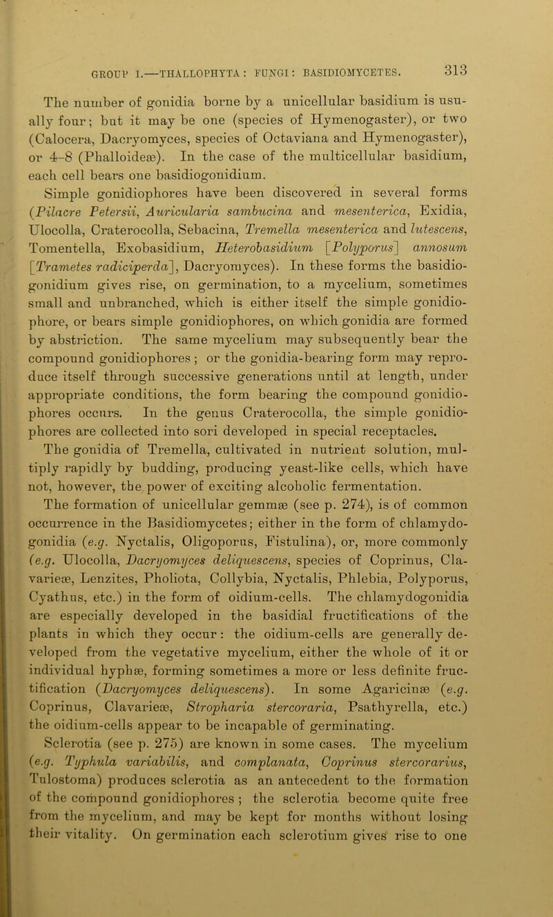 The number of gonidia borne by a unicellular basidium is usu- ally four; but it may be one (species of Hymenogaster), or two (Calocera, Daoryomyces, species of Octaviana and Hymenogaster), or 4-8 (Phalloidem). In the case of the multicellular basidium, each cell beat’s one basidiogonidium. Simple gonidiophores have been discovered in several forms (Pilacre Petersii, Auricularia sambucina and mesenterica, Exidia, Ulocolla, Craterocolla, Sebacina, Tremella mesenterica and lutescens, Tomentella, Exobasidium, Pleterobasidium [Polyporus~\ annosum [Trametes radiciperda], Daoryomyces). In these forms the basidio- gonidium gives rise, on germination, to a mycelium, sometimes small and unbranched, which is either itself the simple gonidio- phore, or bears simple gonidiophores, on which gonidia are formed by abstriction. The same mycelium may subsequently bear the compound gonidiophores ; or the gonidia-bearing form may repro- duce itself through successive generations until at length, under appropriate conditions, the form bearing the compound gonidio- phores occurs. In the genus Craterocolla, the simple gonidio- phores are collected into sori developed in special receptacles. The gonidia of Tremella, cultivated in nutrient solution, mul- tiply rapidly by budding, producing yeast-like cells, which have not, however, the power of exciting alcoholic fermentation. The formation of unicellular gemmae (see p. 274), is of common occurrence in the Basidiomycetes; either in the form of chlamydo- gonidia (e.g. Nyctalis, Oligoporus, Fistulina), or, more commonly (e.g. Ulocolla, Daoryomyces deliqziescens, species of Coprinus, Cla- varieoe, Lenzites, Pholiota, Collybia, ISTyctalis, Phlebia, Polyporus, Cyathus, etc.) in the form of oidium-cells. The chlamydogonidia are especially developed in the basidial fructifications of the plants in which they occur: the oidium-cells are generally de- veloped from the vegetative mycelium, either the whole of it or individual hyphae, forming sometimes a more or less definite fruc- tification (Dacryomyces deliquescens). In some Agaricinae (e.g. Coprinus, Clavarieae, Stropharia stercoraria, Psathyrella, etc.) the oidium-cells appear to be incapable of germinating. Sclerotia (see p. 275) are known in some cases. The mycelium (e.g. Typhula variabilis, and complanata, Coprinus stercorarius, Tulostoma) produces sclerotia as an antecedent to the formation of the corhpound gonidiophores ; the sclerotia become quite free from the mycelium, and may be kept for months without losing their vitality. On germination each sclerotium gives rise to one