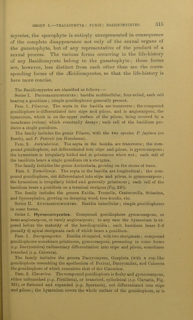 mjcetes, the sporophyte is entirely unrepresented in consequence of the complete disappearance not only of the sexual organs of the gametophyte, but of any representative of the product of a sexual process. The various forms occurring in the life-history of any Basidiomycete belong to the gametophyte; these forms are, however, less distinct from each other than are the corre- sponding forms of the ^Ecidiomycetes, so that the life-history is here more concise. The Basidiomycetes are classified as follows: — Series I. Protobasidiomycetes : basidia multicellular, four-celled, each cell bearing a gonidium ; simple gonidiophores generally present. Fam. 1. Pilacrece. The septa in the basidia are transverse ; the compound gonidiophore is differentiated into stipe and pileus, and is angiocarpous, the hymenium, which is on the upper surface of the pileus, being covered by a membrane (velum) which eventually decays ; each cell of the basidium pro- duces a single gonidium. The family includes the genus Pilacre, with the two species P. faginea (on Beech), and P. Petersii (on Hornbeam). Fam. 2. Auriculariea. The septa in the basidia are transverse; the com- pound gonidiophore, not differentiated into stipe and pileus, is gymnocarpous ; the hymenium is irregularly folded and is gelatinous when wet; each cell of the basidium bears a single gonidium on a sterigma. The family includes the genus Auricularia, growing on the stems of trees. Fam. 3. Treviellinece. The septa in the basidia are longitudinal; the com- pound gonidiophore, not differentiated into stipe and pileus, is gymnocarpous ; the hymenium is irregularly folded and generally gelatinous ; each cell of the basidium bears a gonidium on a terminal sterigma (Fig. 220). The family includes the genera Exidia, Tremella, Craterocolla, Sebacina, and Gyrocephalus, growing on decaying wood, tree-trunks, etc. Series II. Autobasidiohycetes. Basidia unicellular ; simple gonidiophores in some forms. Order 1. Hymenomycetes. Compound gonidiophore gymnocarpous, or hemi-angiocarpous, or rarely angiocarpous; in any case the hymenium is ex- posed before the maturity of the basidiogonidia ; each basidium bears 2-6 (usually 4) apical sterigmata each of which bears a gonidium. Fam. 1. Dacryomycetes. Basidia elongated, with two sterigmata ; compound gonidiophores sometimes gelatinous, gymnocarpous, presenting in some forms (e.y. Dacryomitra) rudimentary differentiation into stipe and pileus, sometimes branched [e.g. Calocera). The family includes the genera Dacryomyces, Guepinia (with a cup-like gonidiophore resembling the apotliecium of Peziza), Dacryomitra, and Calocera the gonidiophore of which resembles that of the Clavariea). Fam. 2. Glavariece. The compound gonidiophore is fleshy and gymnocarpous, either uubranched (e.g. Pistillaria), or branched, cylindrical (e.g. Clavaria, Fig. 221), or flattened and expanded (e.g. Bparassis), not differentiated into stipe and pileus ; the hymenium covers the wholo surface of the gonidiophore, or is