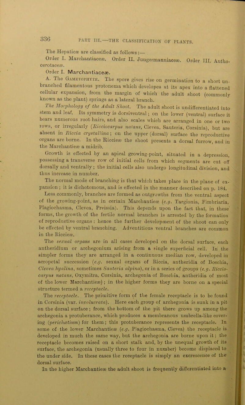 The Hepatic® are classified as follows:— Order I. Marchantiacere. Order II. Juugermanniace®. Order III. Antho- cerotace®. Order I. Marchantiaceae. A. The Gametophyte. The spore gives rise on germination to a short un- branched filamentous protonema which developes at its apex into a flattened cellular expansion, from the margin of which the adult shoot (commonly known as the plant) springs as a lateral branch. 1 lie Moiphology of the Adult Shoot. The adult shoot is undifferentiated into stem and leaf. Its symmetry is dorsiventral; on the lower (ventral) surface it bears numerous root-hairs, and also scales which are arranged in one or two rows, or irregularly (Ricciocarpus natans, Clevea, Sauteria, Corsinia), but are absent in Riccia ci ystallina; on the upper (dorsal) surface the reproductive oigans aie boine. In the Iticcie® the shoot presents a dorsal furrow, and in the Marchantie® a midrib. Growth is effected by an apical growing-point, situated in a depression, possessing a transverse row of initial cells from which segments are cut off dorsally and ventrally ; the initial cells also undergo longitudinal division, and thus increase in number. The normal mode of branching is that which takes place in the plane of ex- pansion ; it is dichotomous, and is effected in the manner described on p. 184. Less commonly, branches are formed as outgrowths from the ventral aspect of the growing-point, as in certain Marchantie® (e.g. Targionia, Fimbriaria, Plagiocliasma, Clevea, Preissia). This depends upon the fact that, in these forms, the growth of the fertile normal branches is arrested by the formation of reproductive organs : hence the further development of the shoot can only be effected by ventral branching. Adventitious ventral branches are common in the Eiccie®. The sexual organs are in all cases developed on the dorsal surface, each antheridium or archegonium arising from a single superficial cell. In the simpler forms they are arranged in a continuous median row, developed in acropetal succession {e.g. sexual organs of Eiccia, antheridia of Boschia, Clevea hyalina, sometimes Sauteria alpina), or in a series of groups (e.g. Riccio- carpus natans, Oxymitra, Corsinia, archegonia of Boscbia, antheridia of most of the lower Marchantie®) ; in the higher forms they are borne on a special structure termed a receptacle. The receptacle. The primitive form of the female receptacle is to be found in Corsinia (var. involucrata). Here each group of archegonia is sunk in a pit on the dorsal surface ; from the bottom of the pit there grows up among the archegonia a protuberance, which produces a membranous umbrella-like cover- ing (perichcetium) for them; this protuberance represents the receptacle. In some of the lower Marchantie® {e.g. Plagiochasma, Clevea) the receptacle is developed in much the same way, but the archegonia are borne upon it; the receptacle becomes raised on a short stalk and, by the unequal growth of its surface, the archegonia (usually three to four in number) become displaced to the under side. In these cases the receptacle is simply an excrescence of the dorsal surface. In the higher Marchantie® the adult shoot is frequently differentiated into a