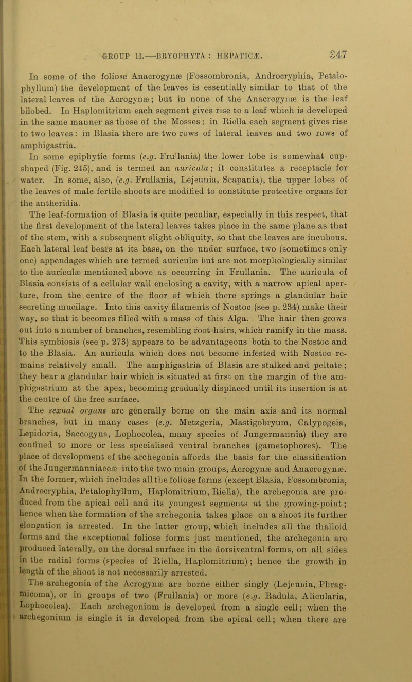 In some of the foliose Anacrogynse (Fossombronia, Androcryphia, Petalo- phyllum) the development of the leaves is essentially similar to that of the lateral leaves of the Acrogynxe; hut in none of the Anacrogynte is the leaf bilobed. Iu Haplomitrium each segment gives rise to a leaf which is developed in the same manner as those of the Mosses : in Iiiella each segment gives rise to two leaves: in Blasia there are two rows of lateral leaves and two rows of amphigastria. In some epiphytic forms (e.g. Frullania) the lower lobe is somewhat cup- shaped (Fig. 245), and is termed an auricula; it constitutes a receptacle for water. In some, also, (e.g. Frullania, Lejeunia, Scapania), the upper lobes of the leaves of male fertile shoots are modified to constitute protective organs for the antheridia. The leaf-formation of Blasia is quite peculiar, especially in this respect, that the first development of the lateral leaves takes place in the same plane as that of the stem, with a subsequent slight obliquity, so that tbe leaves are incubous. Each lateral leaf bears at its base, on the under surface, two (sometimes only one) appendages which are termed auriculas but are not morphologically similar to the auriculas mentioned above as occurring in Frullania. The auricula of Blasia consists of a cellular wall enclosing a cavity, with a narrow apical aper- ture, from the centre of the floor of which there springs a glandular hair secreting mucilage. Into this cavity filaments of Nostoc (see p. 234) make their way, so that it becomes filled with a mass of this Alga. The hair then grows out into a number of branches, resembling root-hairs, which ramify in the mass. This symbiosis (see p. 273) appears to be advantageous both to the Nostoc and to the Blasia. An auricula which does not become infested with Nostoc re- mains relatively small. The amphigastria of Blasia are stalked and peltate ; they bear a glandular hair which is situated at first on the margin of tbe am- phigastrium at the apex, becoming gradually displaced until its insertion is at the centre of the free surface. The sexual organs are generally borne on the main axis and its normal branches, but in many cases (e.g. Metzgeria, Mastigobryum, Calypogeia, Lepidozia, Saccogyna, Lophocolea, many species of Jungermannia) they are confined to more or less specialised ventral branches (gametophores). The place of development of the archegonia affords the basis for the classification of the Juugermanniaceae into the two main groups, Acrogynae and Anacrogynas. In the former, which includes all tbe foliose forms (except Blasia, Fossombronia, Androcryphia, Petalophyllum, Haplomitrium, Biella), the archegonia are pro- duced from tbe apical cell and its youngest segments at the growing-point; hence when the formation of the archegonia takes place on a shoot its further elongation is arrested. In the latter group, which includes all the tlralloid forms and the exceptional foliose forms just mentioned, the archegonia are produced laterally, on the dorsal surface in the dorsiventral forms, on all sides in tbe radial forms (species of Biella, Haplomitrium) ; hence the growth in length of the shoot is not necessarily arrested. The archegonia of the Acrogynac are borne either singly (Lejeunia, Phrag- micoma), or in groups of two (Frullania) or more (e.g. Radula, Alicularia, Lophocolea). Each archegonium is developed from a single cell; when the archegonium is single it is developed from the apical cell; when there axe