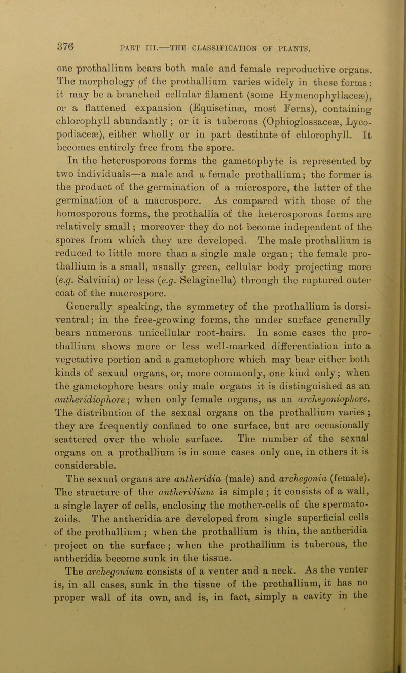 one prothallium bears both male ancl female reproductive organs. The morphology of the prothallium varies widely in these forms: it may be a branched cellular filament (some Hymenophyllacese), or a flattened expansion (Equisetinae, most Ferns), containing chlorophyll abundantly ; or it is tuberous (Ophioglossacese, Lyco- podiaceae), either wholly or in part destitute of chlorophyll. It becomes entirely free from the spore. In the lieterosporous forms the gametophyte is represented by two individuals—a male and a female prothallium; the former is the product of the germination of a microspore, the latter of the germination of a macrospore. As compared with those of the homosporous forms, the prothallia of the lieterosporous forms are relatively small; moreover they do not become independent of the spores from which they are developed. The male prothallium is reduced to little more than a single male organ; the female pro- thallium is a small, usually green, cellular body projecting more (e.g. Salvinia) or less (e.g. Selaginella) through the ruptured outer coat of the macrospore. Generally speaking, the symmetry of the prothallium is dorsi- ventral; in the free-growing forms, the under surface generally bears numerous unicellular root-hairs. In some cases the pro- thallium shows more or less well-marked differentiation into a vegetative portion and a gametophore which may bear either both kinds of sexual organs, or, more commonly, one kind only; when the gametophore bears only male organs it is distinguished as an antheridiophore; when only female organs, as an archegoniopliore. The distribution of the sexual organs on the prothallium varies ; they are frequently confined to one surface, but are occasionally scattered over the whole surface. The number of the sexual organs on a prothallium is in some cases only one, in others it is considerable. The sexual organs are antheridia (male) and archegonia (female). The structure of the antheridium is simple ; it consists of a wall, a single layer of cells, enclosing the mother-cells of the spermato- zoids. The antheridia are developed from single superficial cells of the prothallium ; when the prothallium is thin, the antheridia project on the surface ; when the prothallium is tuberous, the antheridia become sunk in the tissue. The archegonium consists of a venter and a neck. As the venter is, in all cases, sunk in the tissue of the prothallium, it has no proper wall of its own, and is, in fact, simply a cavity in the