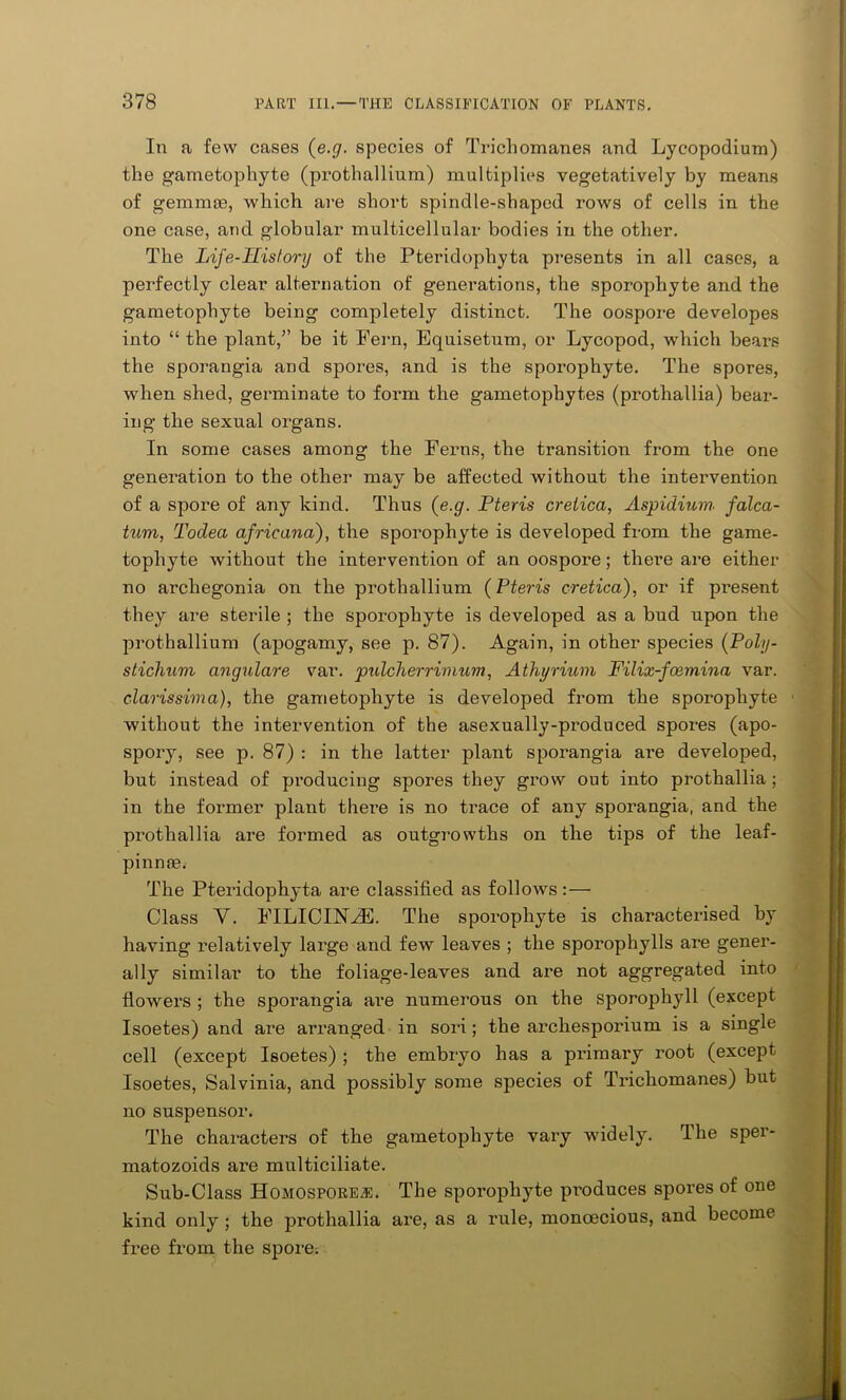 In a few cases (e.g. species of Trichomanes and Lycopodium) the gametophyte (prothallium) multiplies vegetatively by means of gemmae, which are short spindle-shaped rows of cells in the one case, and globular multicellular bodies in the other. The Life-His lory of the Pteridophyta presents in all cases, a perfectly clear alternation of generations, the sporophyte and the gametophyte being completely distinct. The oospore developes into “ the plant,” be it Fern, Equisetum, or Lycopod, which bears the sporangia and spores, and is the sporophyte. The spores, when shed, germinate to form the gametopliytes (prothallia) bear- ing the sexual organs. In some cases among the Ferns, the transition from the one generation to the other may be affected without the intervention of a spore of any kind. Thus (e.g. Pteris cretica, Aspidium falca- tum, Todea africana), the sporophyte is developed from the game- tophyte without the intervention of an oospore; thei’e are either no arcliegonia on the prothallium (Pteris cretica), or if pi’esent they are sterile ; the sporophyte is developed as a bud upon the prothallium (apogamy, see p. 87). Again, in other species (Poly- stichum angulare var. pulcTierrimum, Aihyrium Filix-foemina var. Clarisshna), the gametophyte is developed from the sporophyte without the intervention of the asexually-produced spores (apo- spory, see p. 87) : in the latter plant sporangia are developed, but instead of producing spores they grow out into prothallia; in the former plant there is no trace of any sporangia, and the prothallia are formed as outgrowths on the tips of the leaf- pinnae. The Pteridophyta are classified as follows: — Class V. FILICINYE. The sporophyte is characterised by having relatively large and few leaves ; the sporophylls are gener- ally similar to the foliage-leaves and are not aggregated into flowers ; the sporangia are numerous on the sporophyll (except Isoetes) and are arranged in sori; the archesporium is a single cell (except Isoetes) ; the embryo has a primary root (except Isoetes, Salvinia, and possibly some species of Trichomanes) hut no suspensor. The characters of the gametophyte vary widely. The sper- matozoids are multiciliate. Sub-Class Homospores:. The sporophyte pi’oduces spores of one kind only ; the prothallia are, as a rule, monoecious, and become free from the spore: