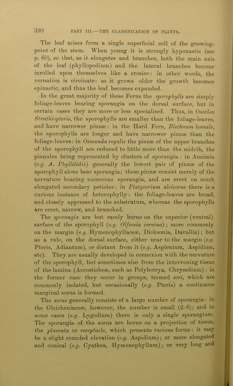 The leaf arises from a single superficial cell of the growing- point of the stem. When young it is strongly hyponastic (see p. 60), so that, as it elongates and branches, both the main axis of the leaf (phyllopodium) and the lateral branches become inrolled upon themselves like a crosier: in other words, the vernation is circinate: as it grows older the growth becomes epinastic, and thus the leaf becomes expanded. In the great majority of these Ferns the sporophylls are simply foliage-leaves bearing sporangia on the dorsal surface, but in certain cases they are more or less specialised. Thus, in Onoclea Struthiopteris, the sporophylls are smaller than the foliage-leaves, and have narrower pinnae: in the Hard Fern, Blechnum boreale, the sporophylls are longer and have narrower pinnae than the foliage-leaves: in Osmunda regalis the pinnae of the upper branches of the sporophyll are reduced to little more than the midrib, the pinnules being represented by clusters of sporangia : in Aneimia (e.g. A. Phyllitidis) generally the lowest pair of pinnae of the sporophyll alone bear sporangia; these pinnae consist merely of the nervature bearing numerous sporangia, and are erect on much elongated secondary petioles : in Platycerium alcicorne there is a curious instance of heterophylly : the foliage-leaves are broad, and closely appressed to the substratum, whereas the sporophylls are erect, narrow, and branched. The sporangia are but rarely borne on the superior (ventral) surface of the sporophyll {e.g. Olfersia cervina) ; more commonly on the margin (e.g. Hymenophyllaceae, Dicksonia, Davallia) ; but as a rule, on the dorsal surface, either near to the margin (e.g. Pteris, Adiantum), or distant from it (e.g. Asplenium, Aspidium, etc). They are usually developed in connexion with the nervature of the sporophyll, but sometimes also from the intervening tissue of the lamina (Acrosticheas, such as Polybotrya, Chrysodium) : in the former case they occur in groups, termed sort, which are commonly isolated, but occasionally (e.g. Pteris) a continuous marginal sorus is formed. The sorus generally consists of a large number of sporangia: in the Gleicheniacese, however, the number is small (2-8); and in some cases (e.g. Lygodium) there is only a single spoi’angium. The sporangia of the sorus are borne on a projection of tissue, the placenta or receptacle, which presents various forms : it may be a slight rounded elevation (e.g. Aspidium); or more elongated and conical (e.g. Cyathea, Hymenophyllum) ; or very long and