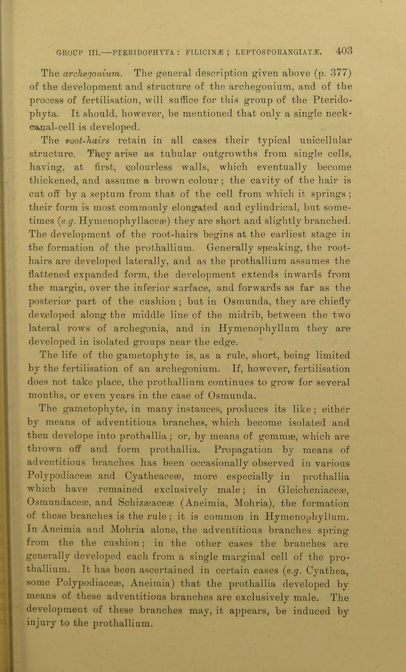 The archegonium. The general description given above (p. 377) of the development and structure of the archegonium, and of the process of fertilisation, will suffice for this group of the Pterido- phyta. It should, however, be mentioned that only a single neck- canal-cell is developed. The root-hairs retain in all cases their typical unicellular structure. They arise as tubular outgrowths from single cells, having, at first, colourless walls, which eventually become thickened, and assume a brown colour ; the cavity of the hair is cut off by a septum from that of the cell from which it sowings ; their form is most commonly elongated and cylindrical, but some- times (e.g. Hymenophyllacea?) they are short and slightly branched. The development of the root-hairs begins at the earliest stage in the formation of the prothallium. Generally speaking, the root- hairs are developed laterally, and as the prothalliura assumes the flattened expanded form, the development extends inwards from the margin, over the inferior surface, and forwards as far as the posterior part of the cushion ; but in Osmunda, they are chiefly developed along the middle line of the midrib, between the two lateral rows of archegonia, and in Hymenophyllum they are developed in isolated groups near the edge. The life of the gametophyte is, as a rule, short, being limited by the fertilisation of an archegonium. If, however, fertilisation does not take place, the prothallium continues to grow for several months, or even years in the case of Osmunda. The gametophyte, in many instances, produces its like ; either by means of adventitious branches, which become isolated and then develope into prothallia ; or, by means of gemmaa, which are thrown off and form prothallia. Propagation by means of adventitious branches has been occasionally observed in various Polypodiaceaa and Cyatheaceaa, more especially in prothallia which have remained exclusively male; in Gleicheniaceaa, Osmundaceoe, and Schizseaceae (Aneimia, Mohria), the formation of these branches is the rule ; it is common in Hymenophyllum. In Aneimia and Mohria alone, the adventitious branches spring from the the cushion; in the other cases the branches are generally developed each from a single marginal cell of the pro- thallium. It has been ascertained in certain cases (e.g. Cyathea, some Polypodiaceoe, Aneimia) that the prothallia developed by means of these adventitious branches are exclusively male. The development of these branches may, it appears, be induced by injury to the prothallium.