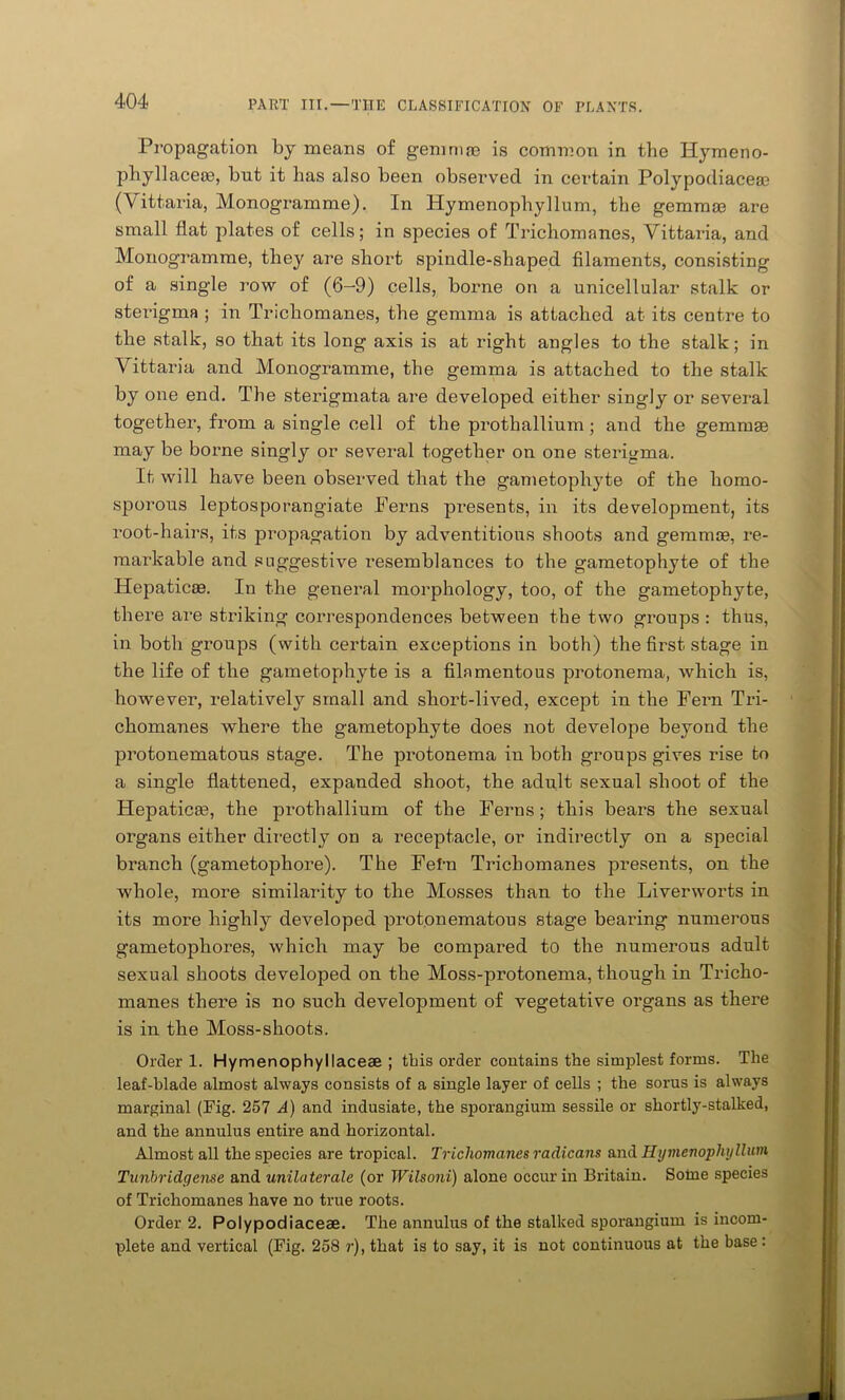 Propagation by means of gemmae is common in the Hymeno- phyllaceiB, but it has also been observed in certain Polypodiacesc (Vittaria, Monogramme). In Hymenophyllum, the gemmae are small flat plates of cells; in species of Trichomanes, Vittaria, and Monogramme, they are short spindle-shaped filaments, consisting of a single row of (6—9) cells, borne on a unicellular stalk or sterigma ; in Trichomanes, the gemma is attached at its centre to the stalk, so that its long axis is at right angles to the stalk; in Vittaria and Monogramme, the gemma is attached to the stalk by one end. The sterigmata are developed either singly or several together, from a single cell of the prothallium; and the gemmae may be borne singly or several together on one sterigma. If will have been observed that the gametophyte of the homo- sporous leptosporangiate Perns presents, in its development, its root-hairs, its propagation by adventitious shoots and gemmae, re- markable and suggestive resemblances to the gametophyte of the Hepaticae. In the general morphology, too, of the gametophyte, there are striking correspondences between the two groups : thus, in both groups (with certain exceptions in both) the first stage in the life of the gametophyte is a filamentous protonema, which is, however, relatively small and short-lived, except in the Fern Tri- chomanes where the gametophyte does not develope beyond the protonematous stage. The protonema in both groups gives rise to a single flattened, expanded shoot, the adult sexual shoot of the Hepaticae, the prothallium of the Ferns; this bears the sexual organs either directly on a receptacle, or indirectly on a special branch (gametophore). The Fehn Trichomanes presents, on the whole, more similarity to the Mosses than to the Liverworts in its more highly developed protonematous stage bearing numerous gametophores, which may be compared to the numerous adult sexual shoots developed on the Moss-protonema, though in Tricho- manes there is no such development of vegetative organs as there is in the Moss-shoots. Order 1. Hymenophyllacese ; this order contains the simplest forms. The leaf-blade almost always consists of a single layer of cells ; the sorus is always marginal (Fig. 257 A) and indusiate, the sporangium sessile or shortly-stalked, and the annulus entire and horizontal. Almost all the species are tropical. Trichomanes radicans and Hymenophyllum Tunbridgense and unilaterale (or Wilsoni) alone occur in Britain. Some species of Trichomanes have no true roots. Order 2. Poly pod iaceae. The annulus of the stalked sporangium is incom- plete and vertical (Fig. 258 ?■), that is to say, it is not continuous at the base :