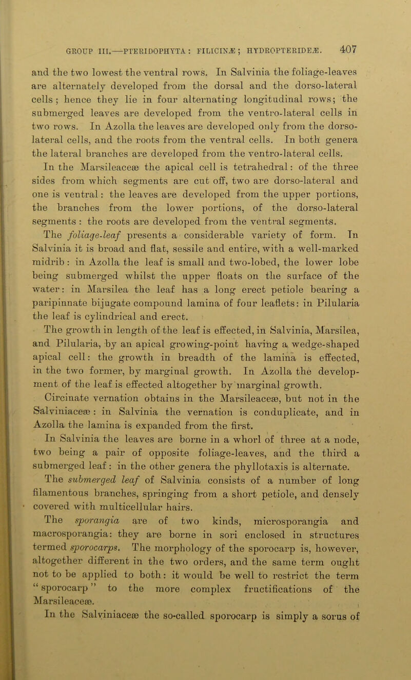 and the two lowest the ventral rows. In Salvinia the foliage-leaves are alternately developed from the dorsal and the dorso-lateral cells; hence they lie in four alternating longitudinal rows; the submerged leaves are developed from the ventro-lateral cells in two rows. In Azolla the leaves are developed only from the dorso- lateral cells, and the roots from the ventral cells. In both genera the lateral branches are developed from the ventro-lateral cells. In the Marsileaceas the apical cell is tetrahedral: of the three sides from which segments are cut off, two are dorso-lateral and one is ventral: the leaves are developed from the upper portions, the branches from the lower portions, of the dorso-lateral segments : the roots are developed from the ventral segments. The foliage-leaf presents a considerable variety of form. Tn Salvinia it is broad and flat, sessile and entire, with a well-marked midrib : in Azolla the leaf is small and two-lobed, the lower lobe being submerged whilst the upper floats on the surface of the water: in Marsilea the leaf has a long erect petiole bearing a paripinnate bijugate compound lamina of four leaflets: in Pilularia the leaf is cylindrical and erect. The growth in length of the leaf is effected, in Salvinia, Marsilea, and Pilularia, by an apical growing-point having a wedge-shaped apical cell: the growth in breadth of the lamina is effected, in the two former, by marginal growth. In Azolla the develop- ment of the leaf is effected altogether by marginal growth. Circinate vernation obtains in the Marsileaceaa, but not in the Salviniace®: in Salvinia the vernation is conduplicate, and in Azolla the lamina is expanded from the first. In Salvinia the leaves are borne in a whorl of three at a node, two being a pair of opposite foliage-leaves, and the third a submerged leaf: in the other genera the phyllotaxis is alternate. The submerged leaf of Salvinia consists of a number of long filamentous branches, springing from a short petiole, and densely covered with multicellular hairs. The sporangia are of two kinds, microsporangia and macrosporangia: they are borne in sori enclosed in structures termed sporocarps. The morphology of the sporocarp is, however, altogether different in the two orders, and the same term ought not to be applied to both: it would be well to restrict the term “ sporocarp ” to the more complex fructifications of the Marsileaceae. In the Salviniaceos the so-called sporocarp is simply a sorus of